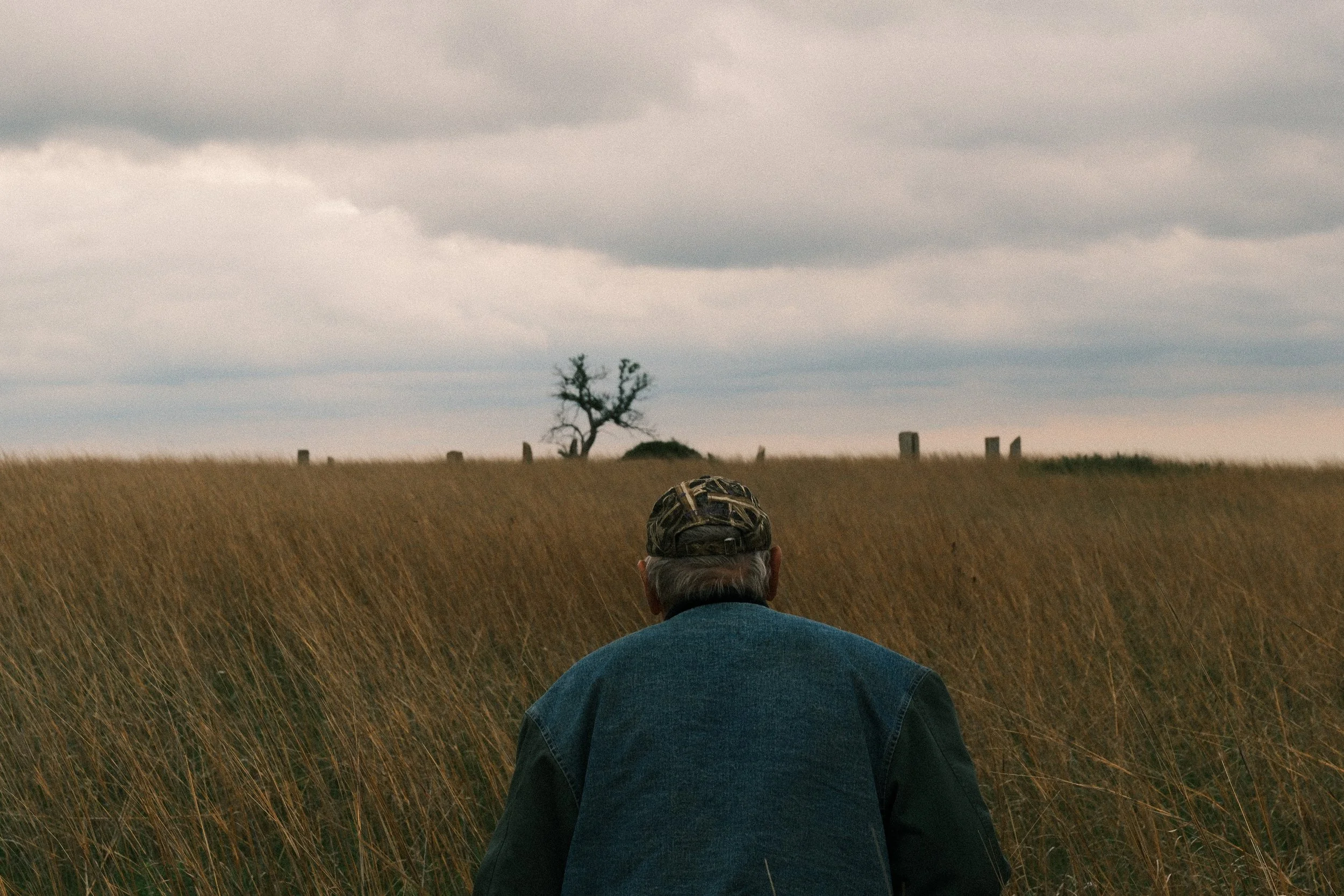 Anthony Procopio Ross