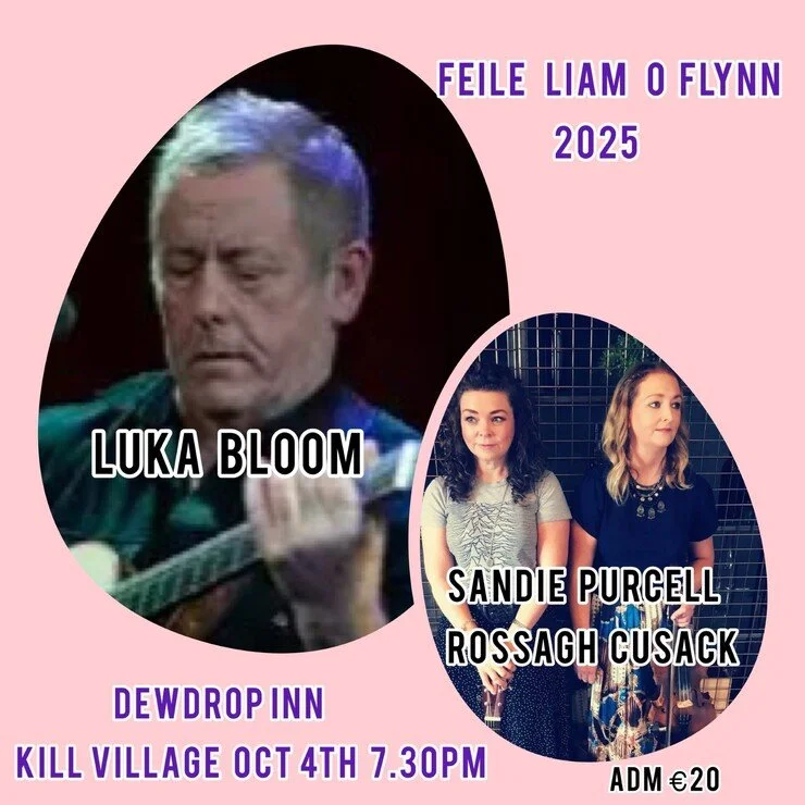Féile Liam O’Flynn - Luka Bloom