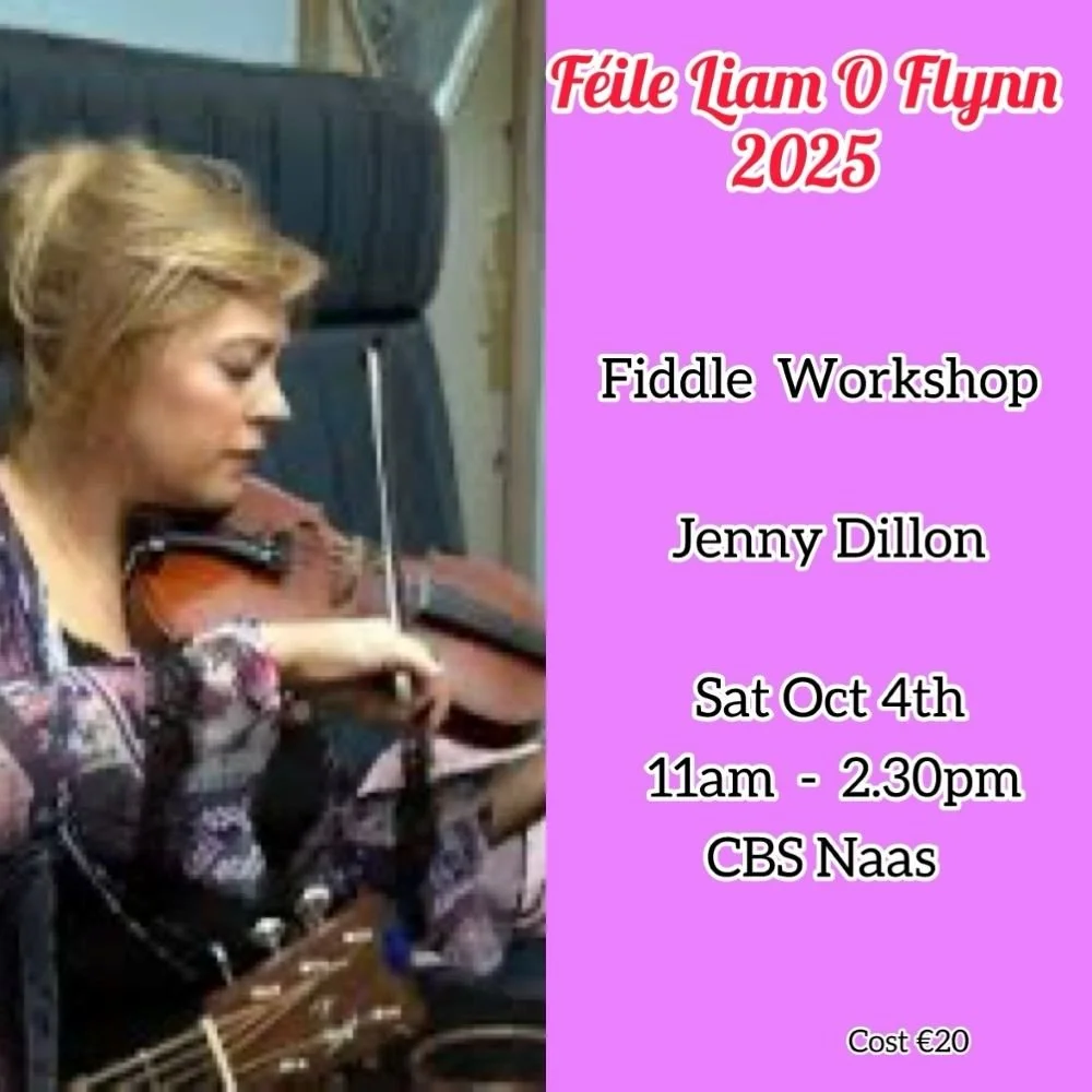 Féile Liam O'Flynn - FIDDLE WORKSHOP