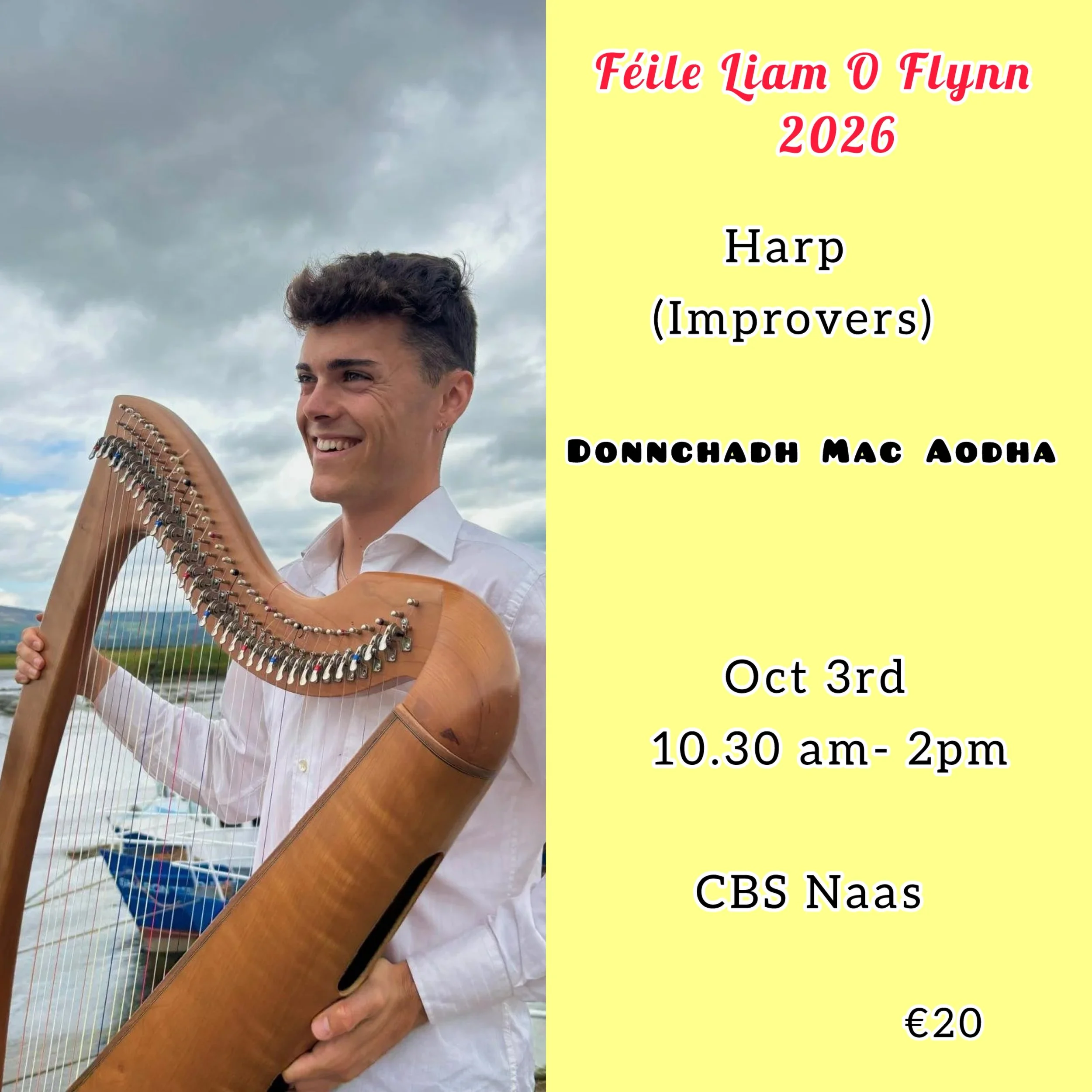 harp.jpeg