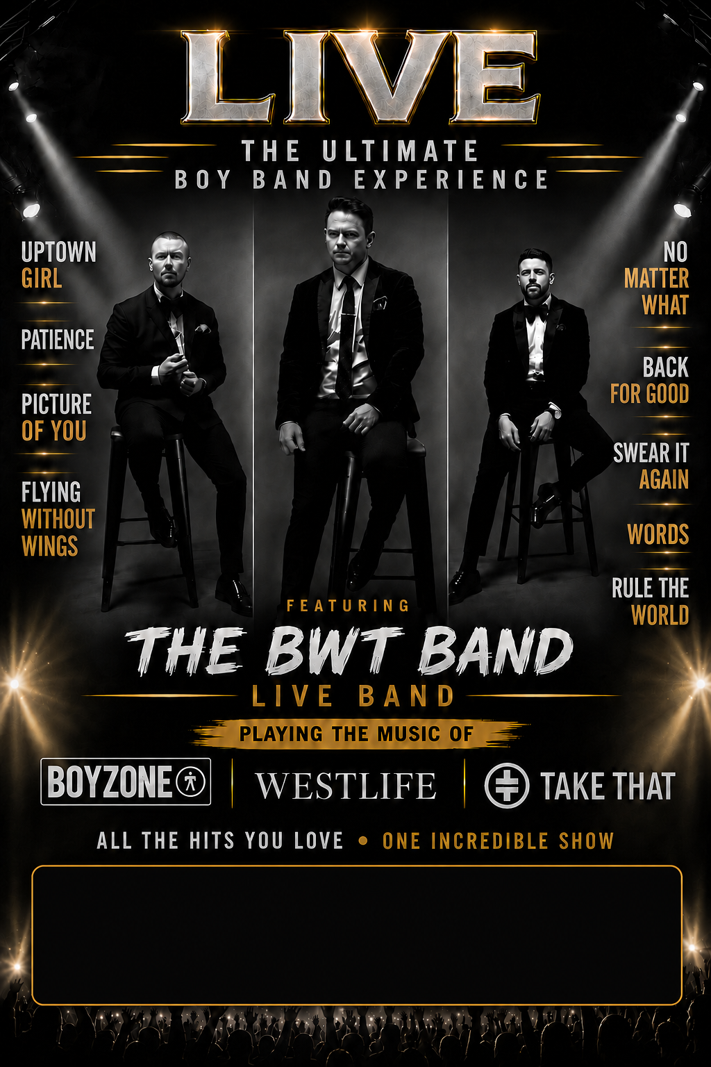 Ultimate Boyband Experience