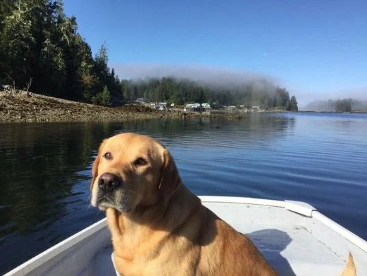 Andy in Rowboat.jpeg