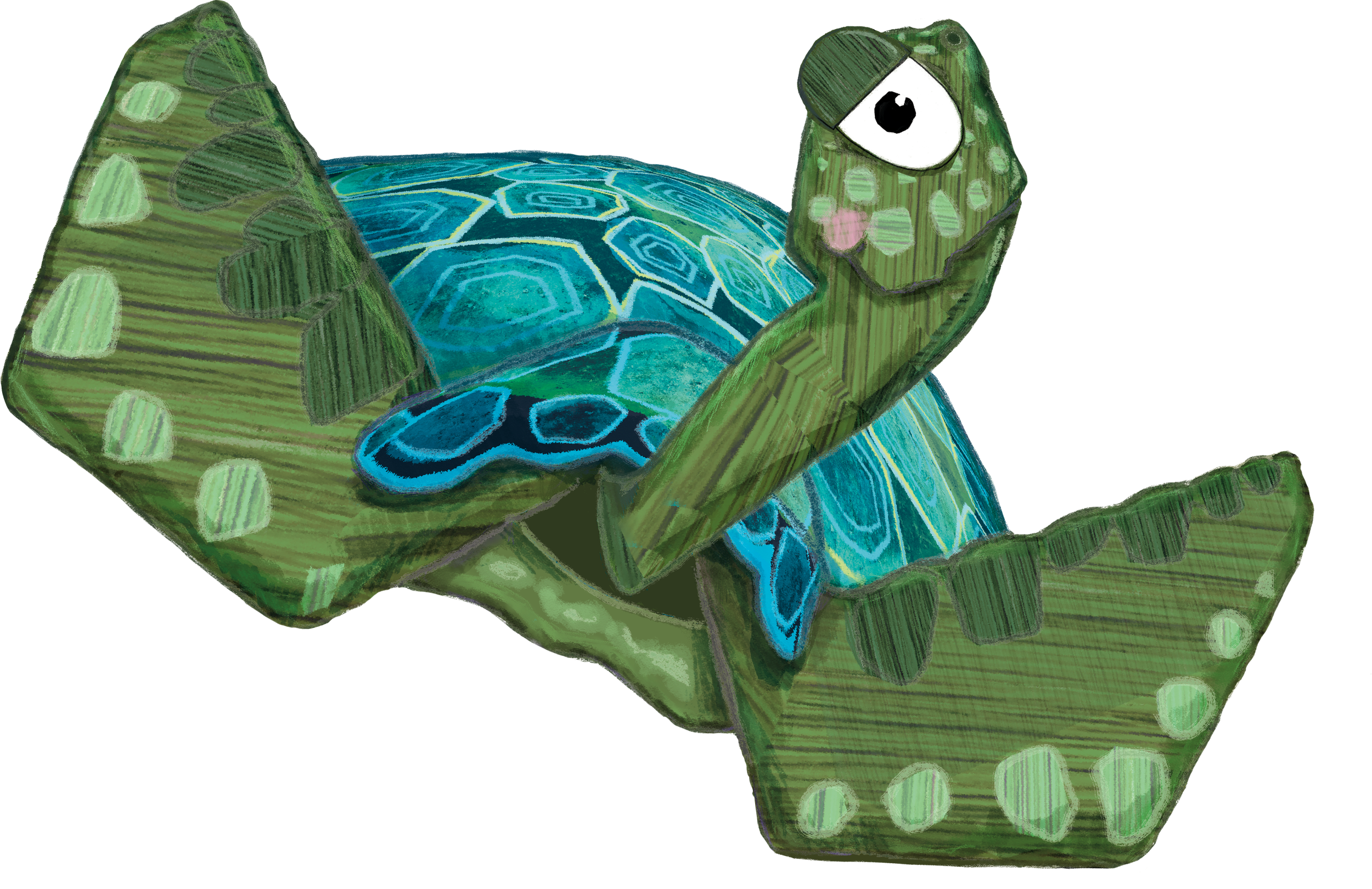 SIR TOBY TURTLE
