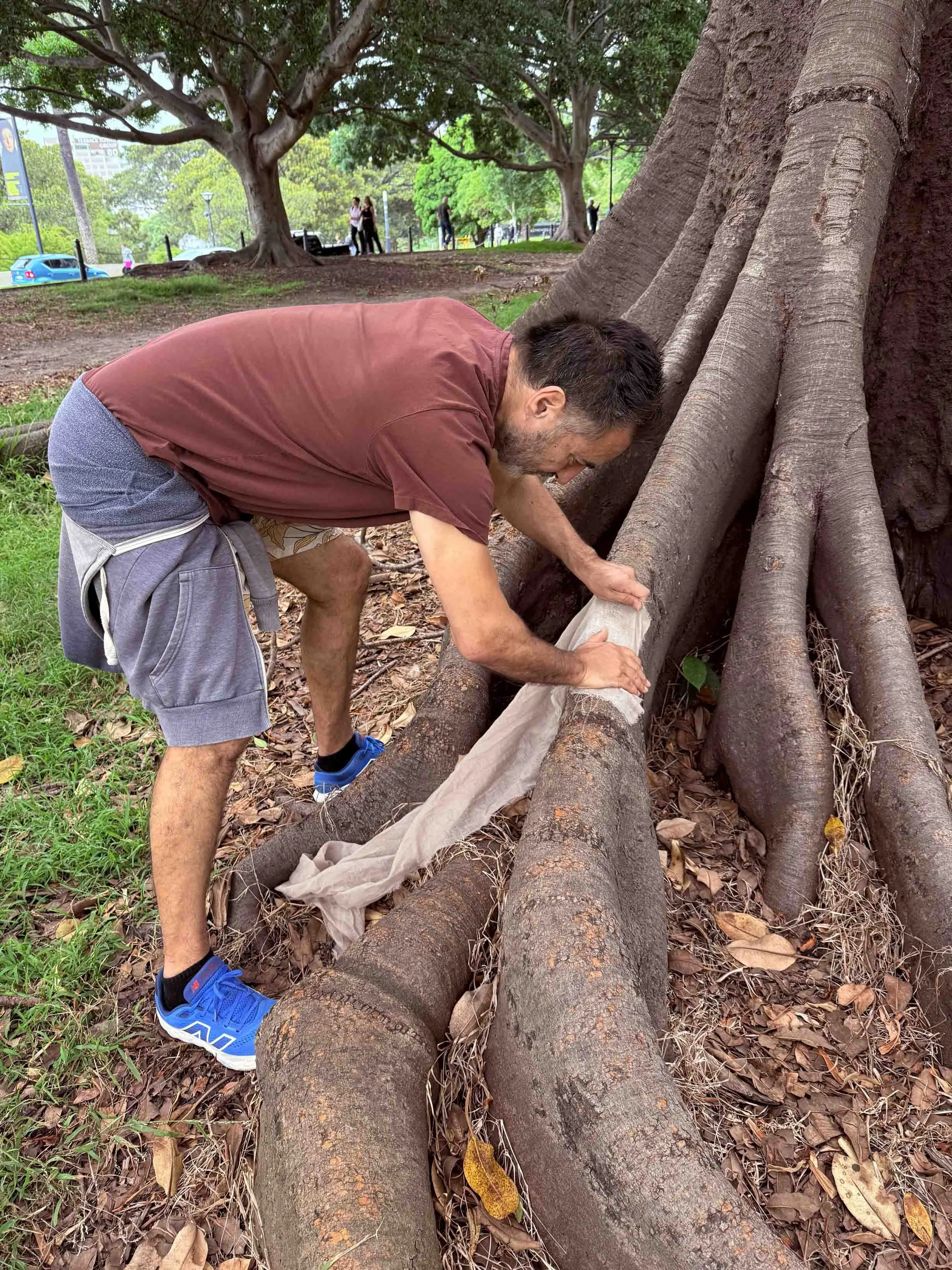  Matti taking a rubbing of the surface of the fig tree at Speaker’s Corner 