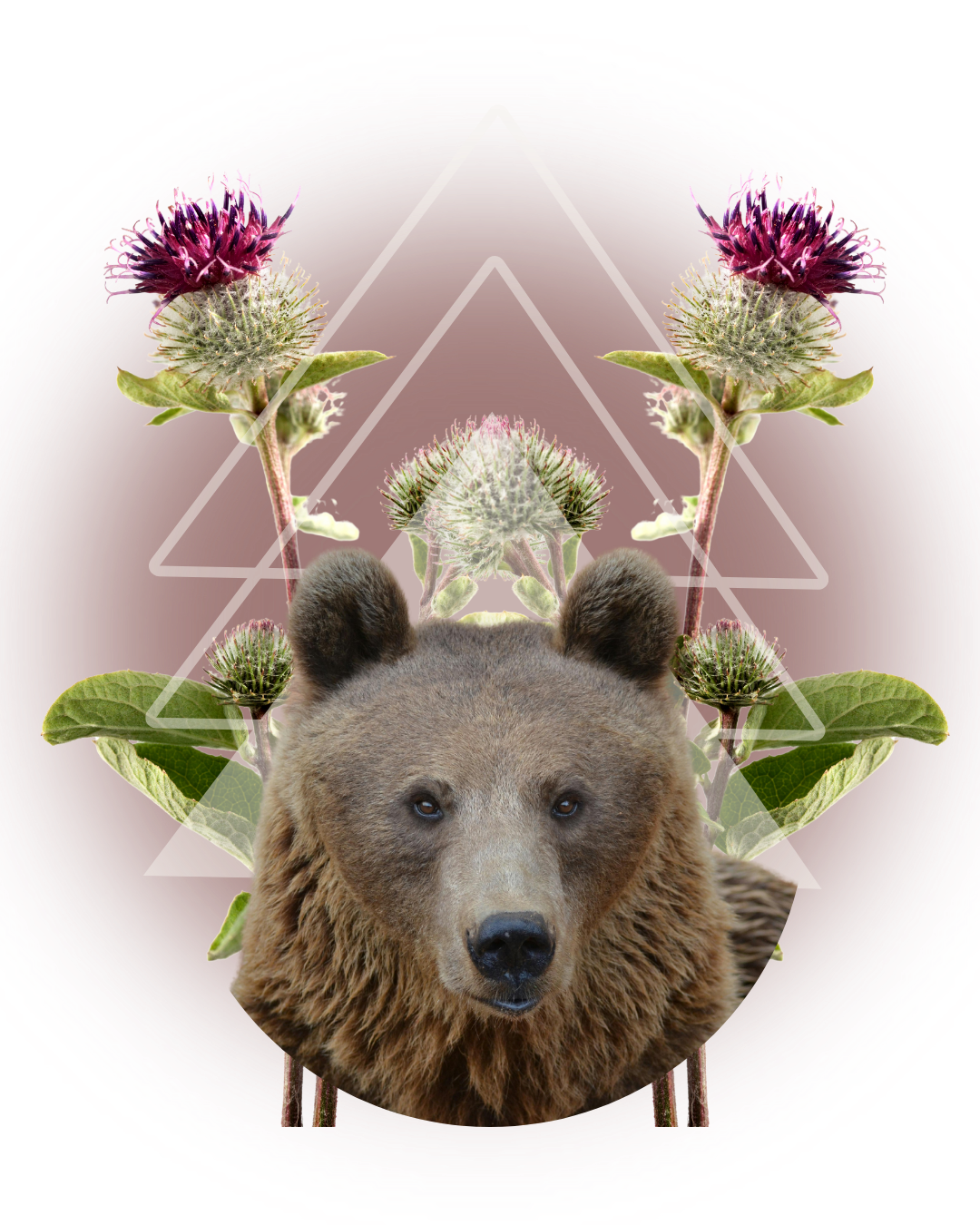 Bears, Burdock &amp; Dreams