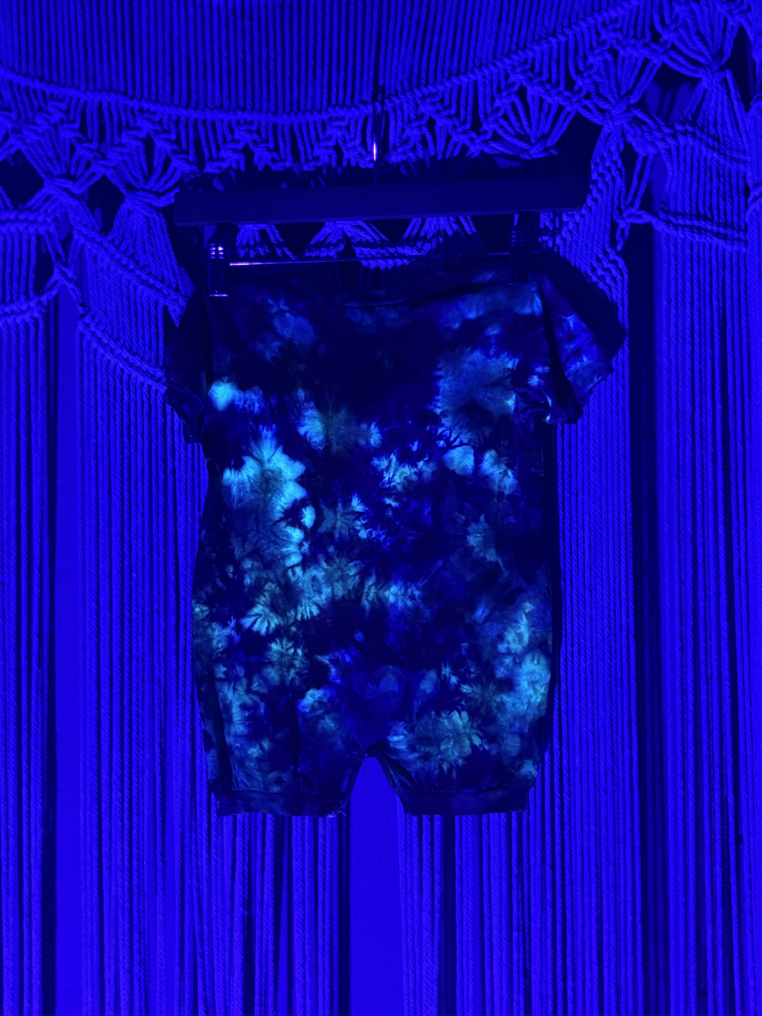 IMG_2627.jpeg