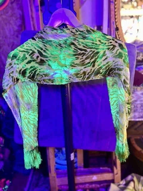 IMG_9859 Medium.jpeg