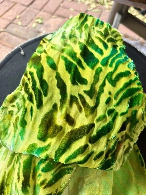 IMG_9863 Medium.jpeg