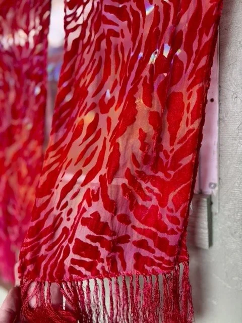 IMG_9744 Medium.jpeg