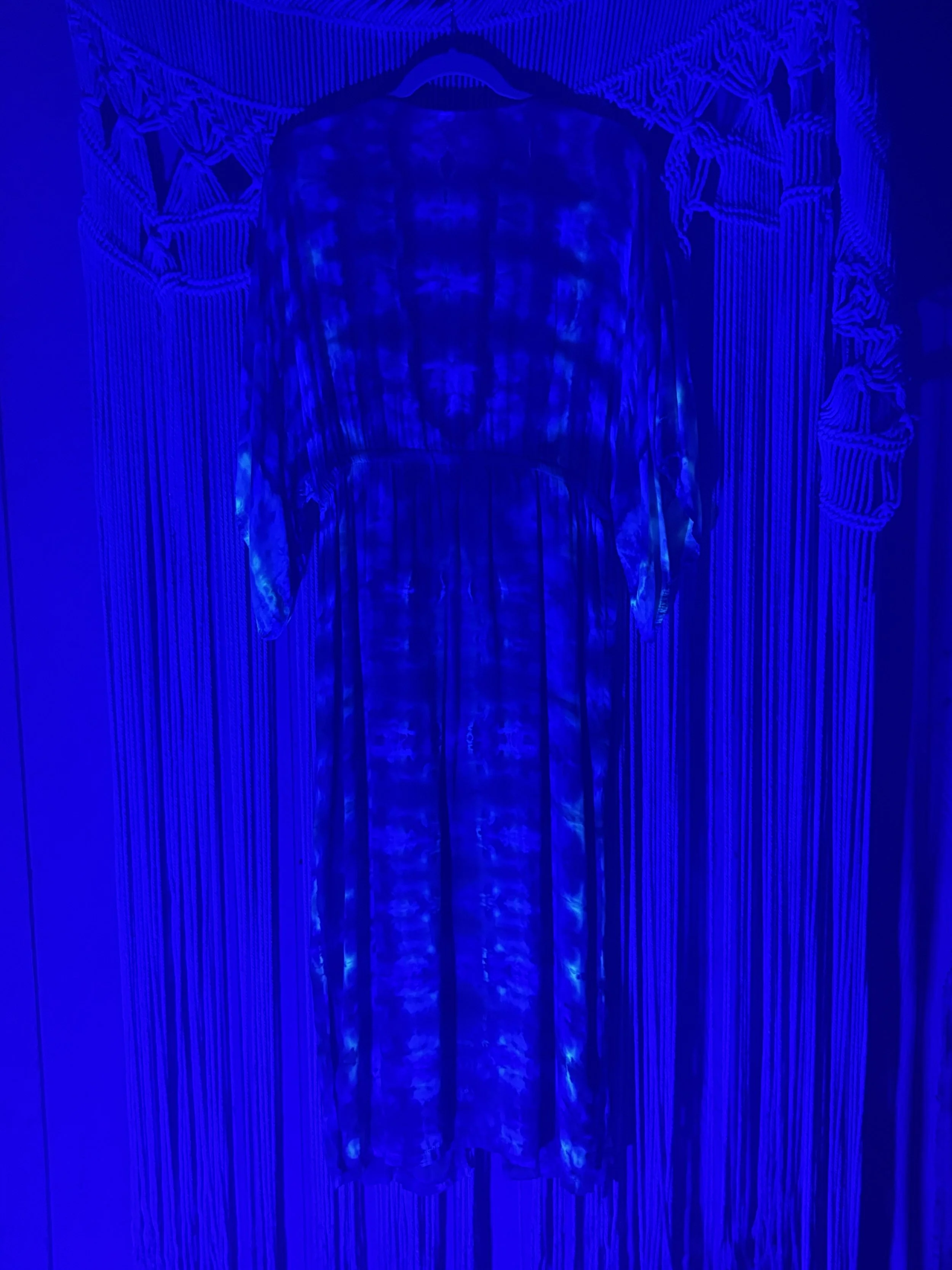IMG_2427.jpeg