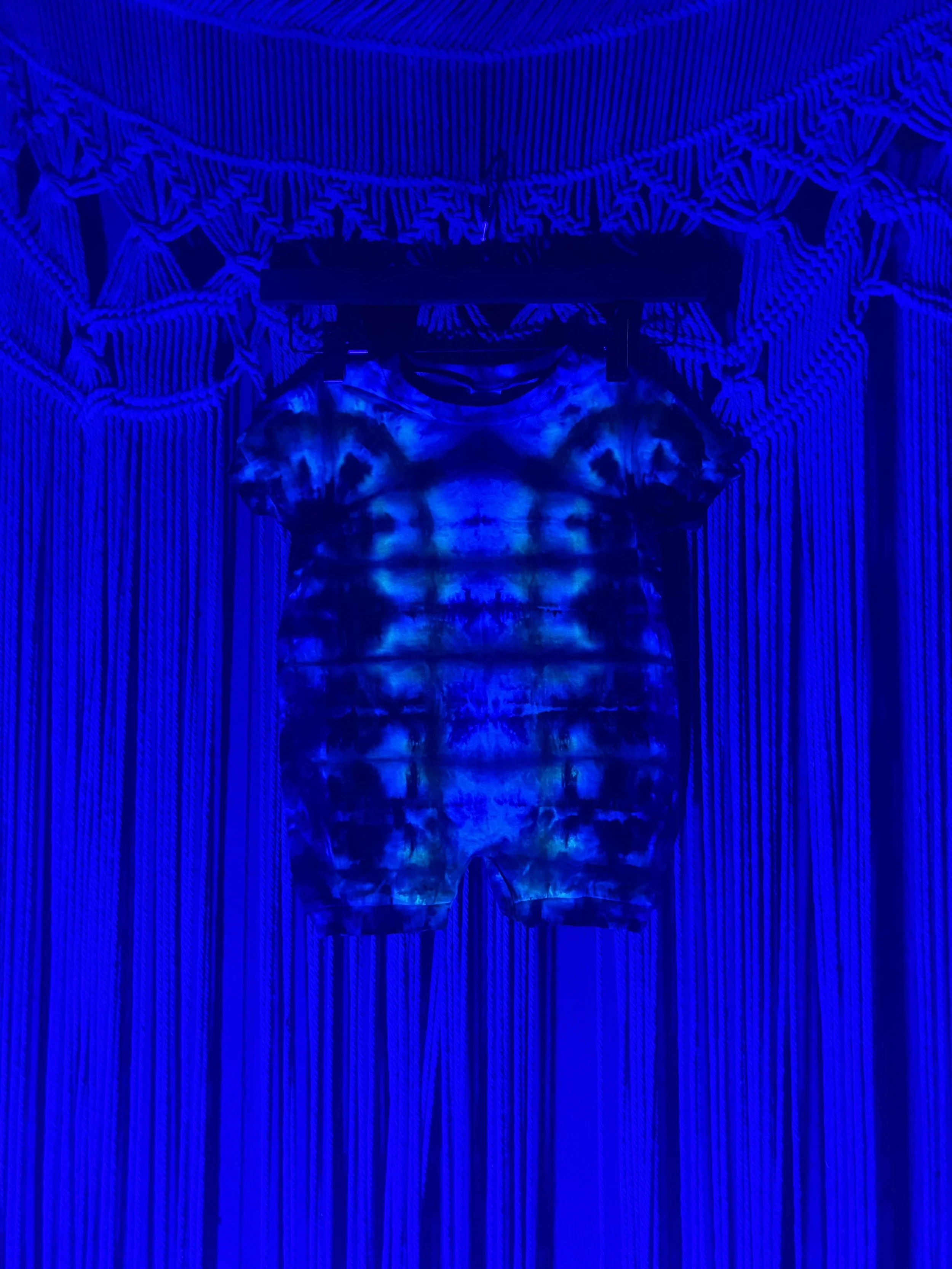 IMG_2186.jpeg