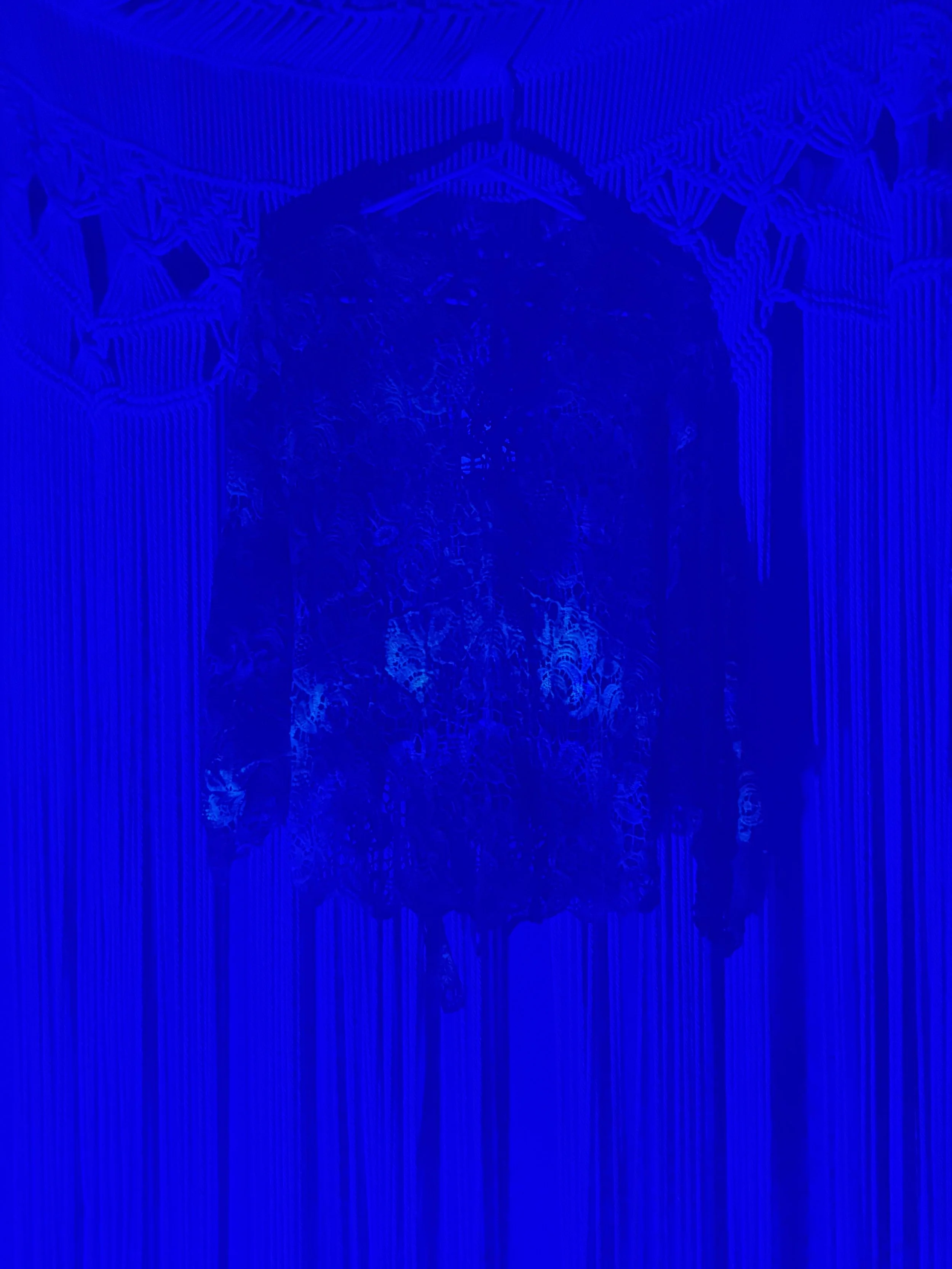 IMG_2403.jpeg
