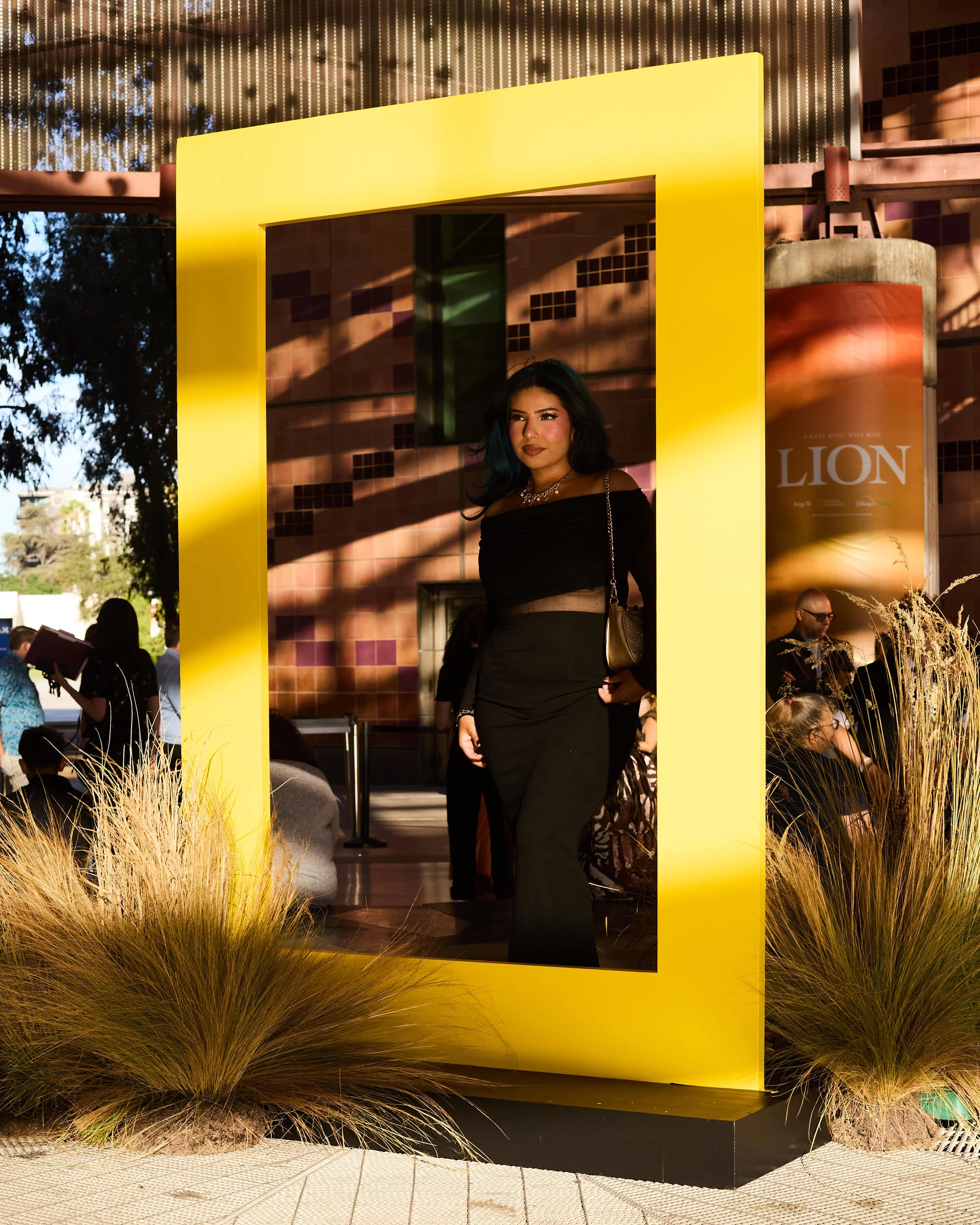 National Geographic Lions Premiere