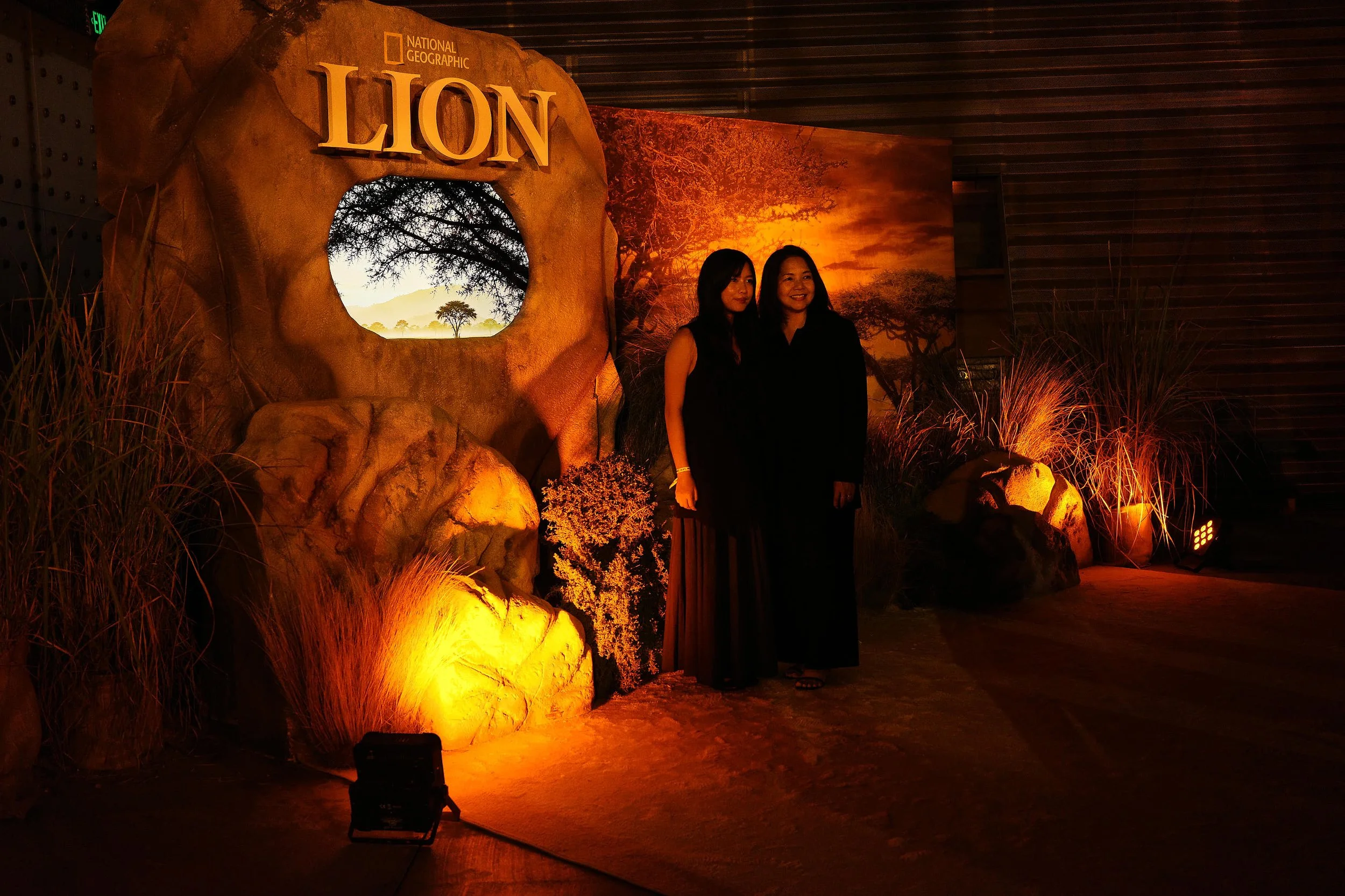 LC_LUCA MASTRO_LION 201 (2).jpg
