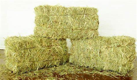 hay.jpeg