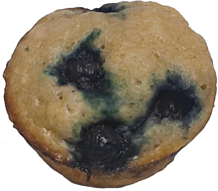 Sourdough Mini Bites - Blueberry