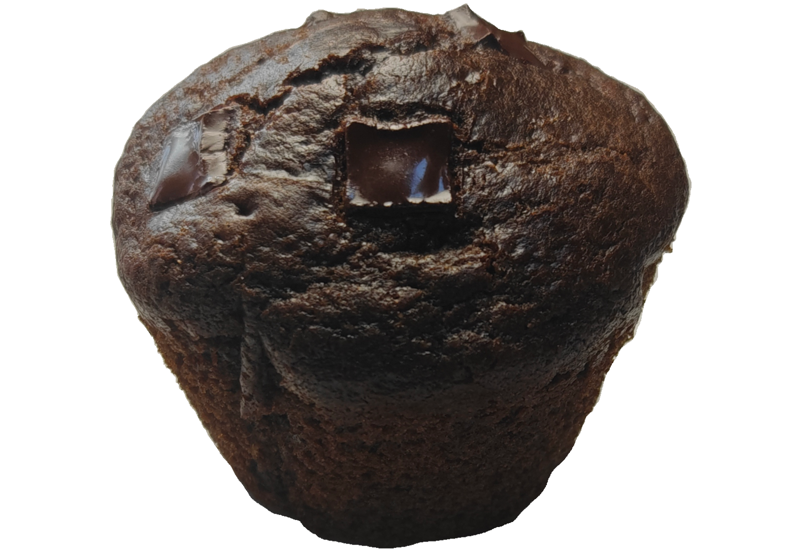 double chocolate muffin 2.png