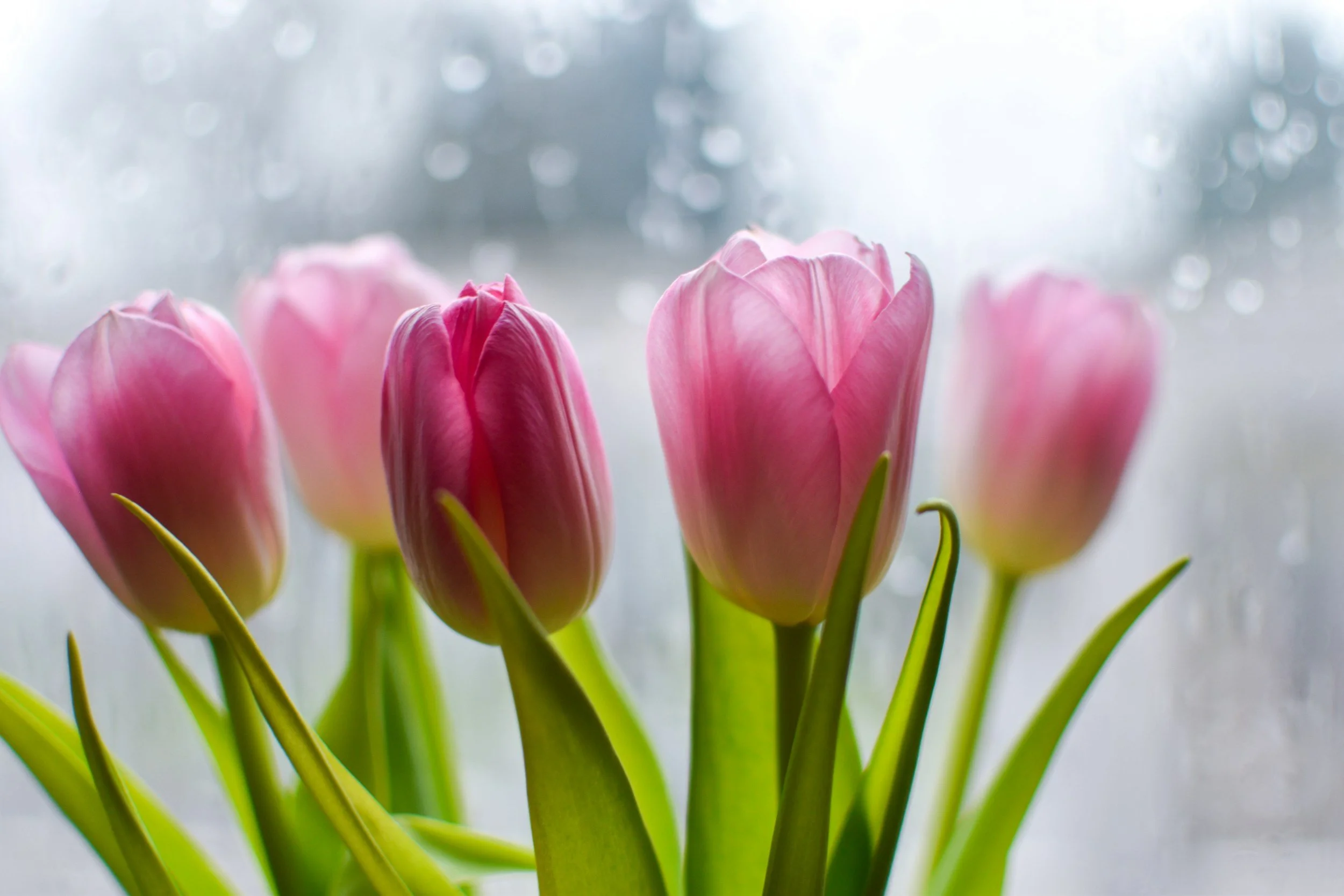 Mother’s Day