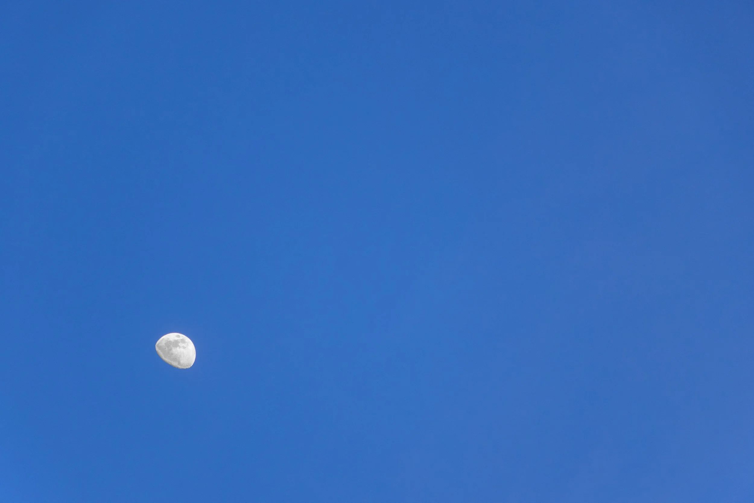 The moon from Portland, Oregon. 