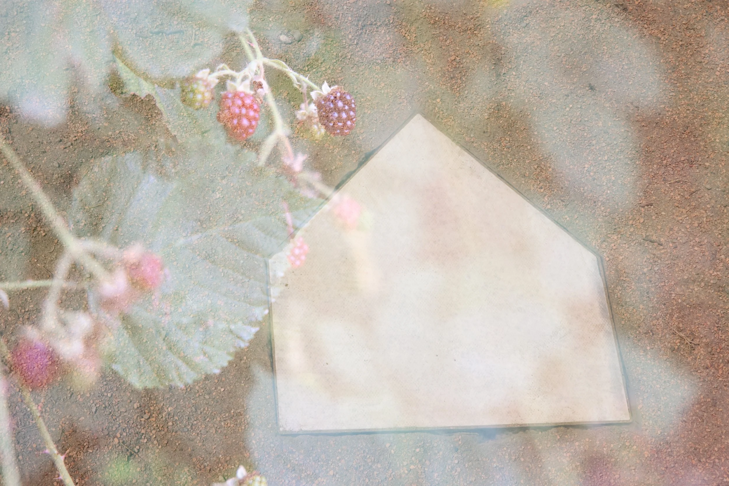 A sweet start to August. 