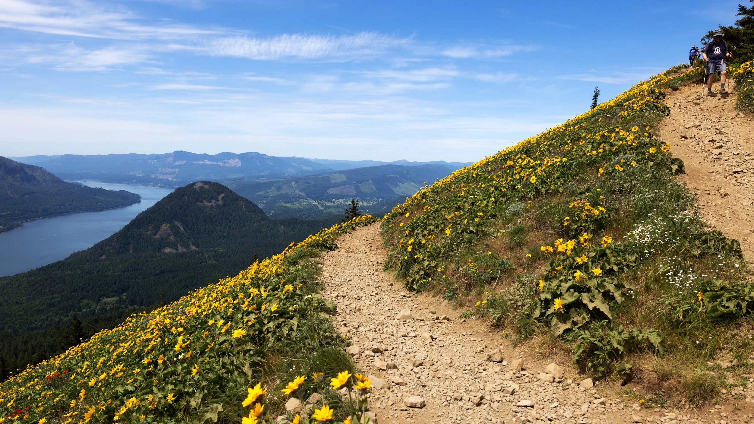 Dog Mountain trail in the Columbia River Gorge.