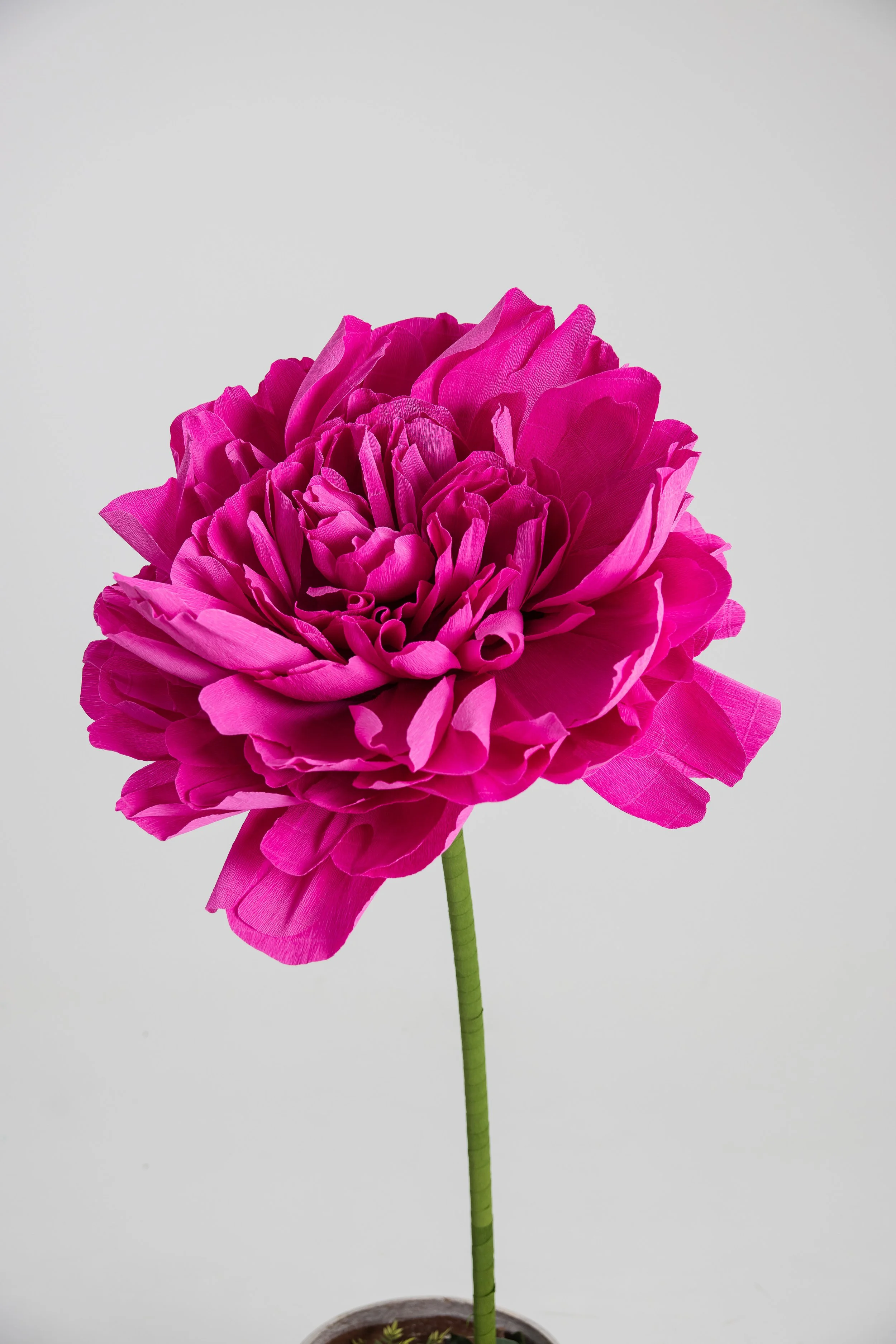 Blaire_sBlooms-11.26.24-101.jpg