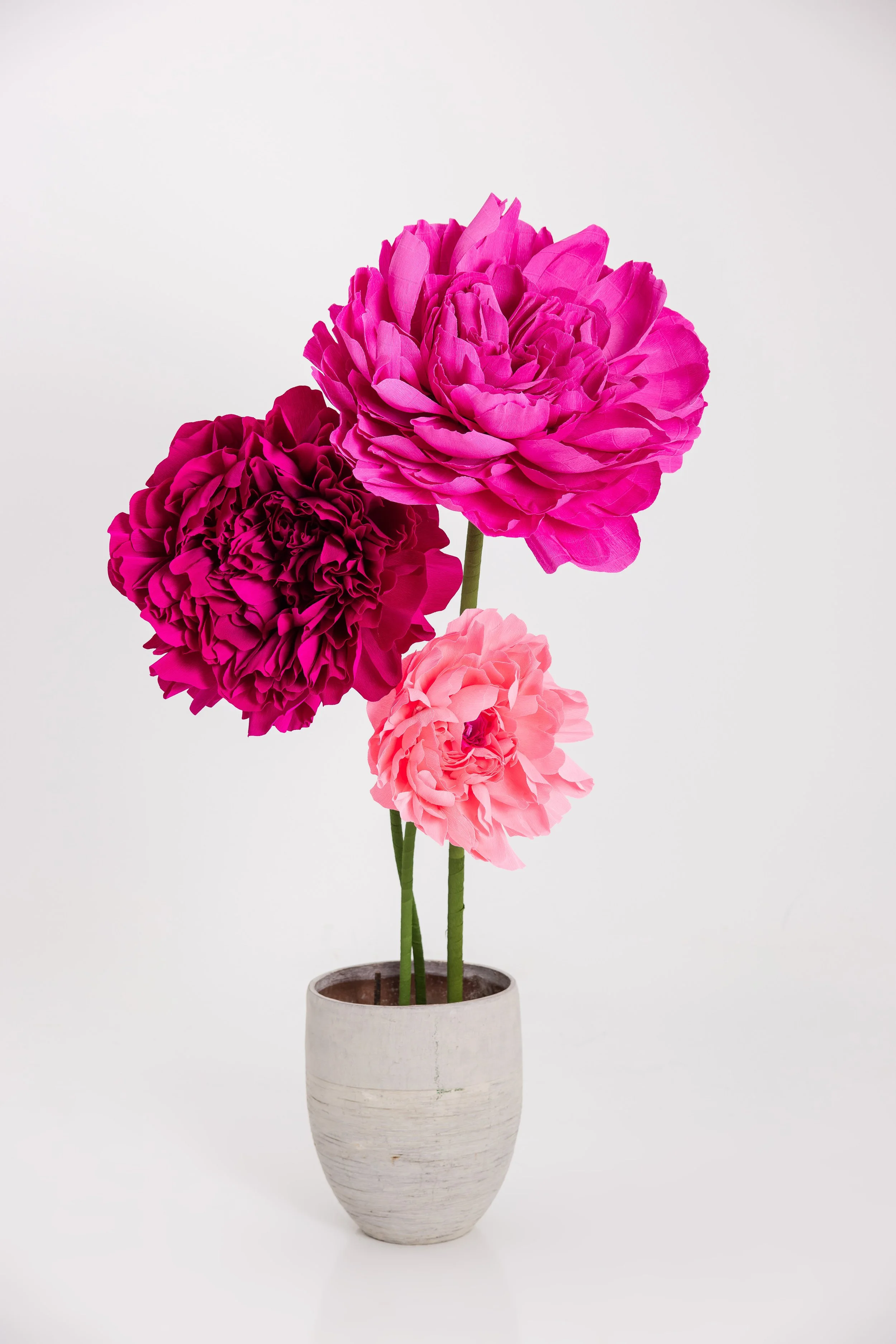 Blaire_sBlooms-11.26.24-133.jpg