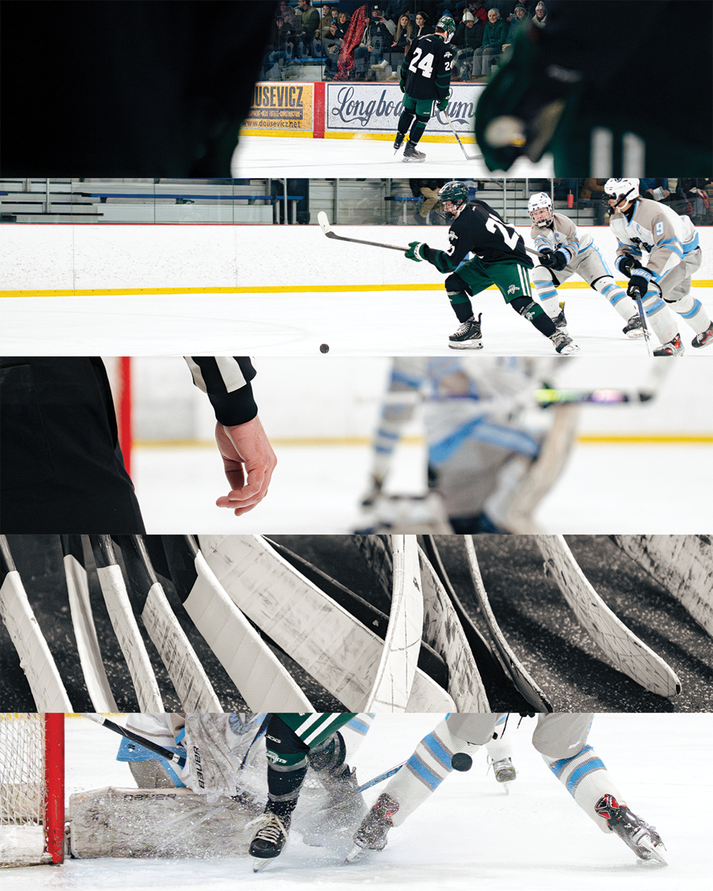collage1.png