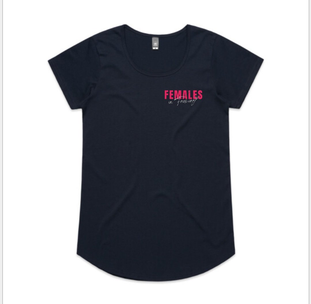 Tshirt grey.jpg