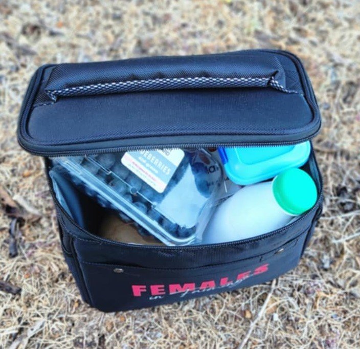 Chiller Bag - Top view.jpeg