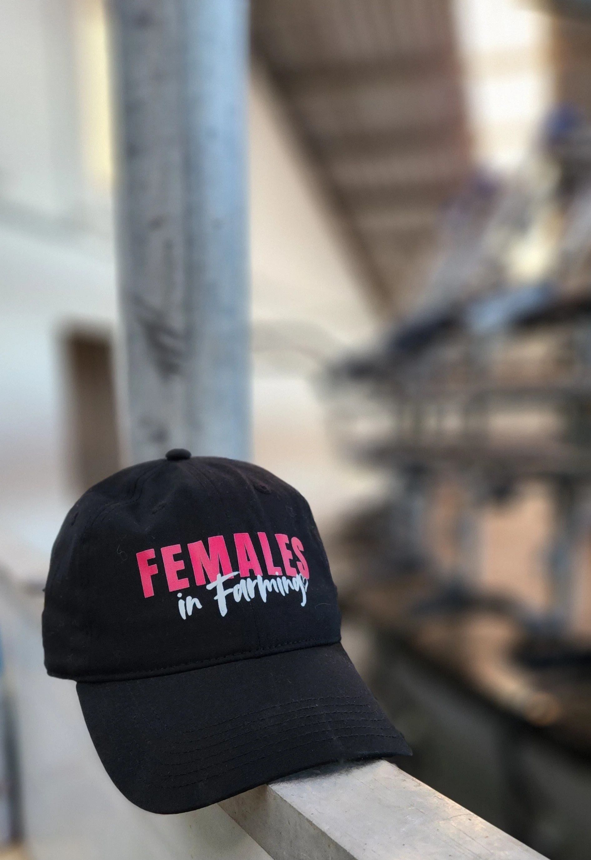 Backbone Cap - black - front.jpg