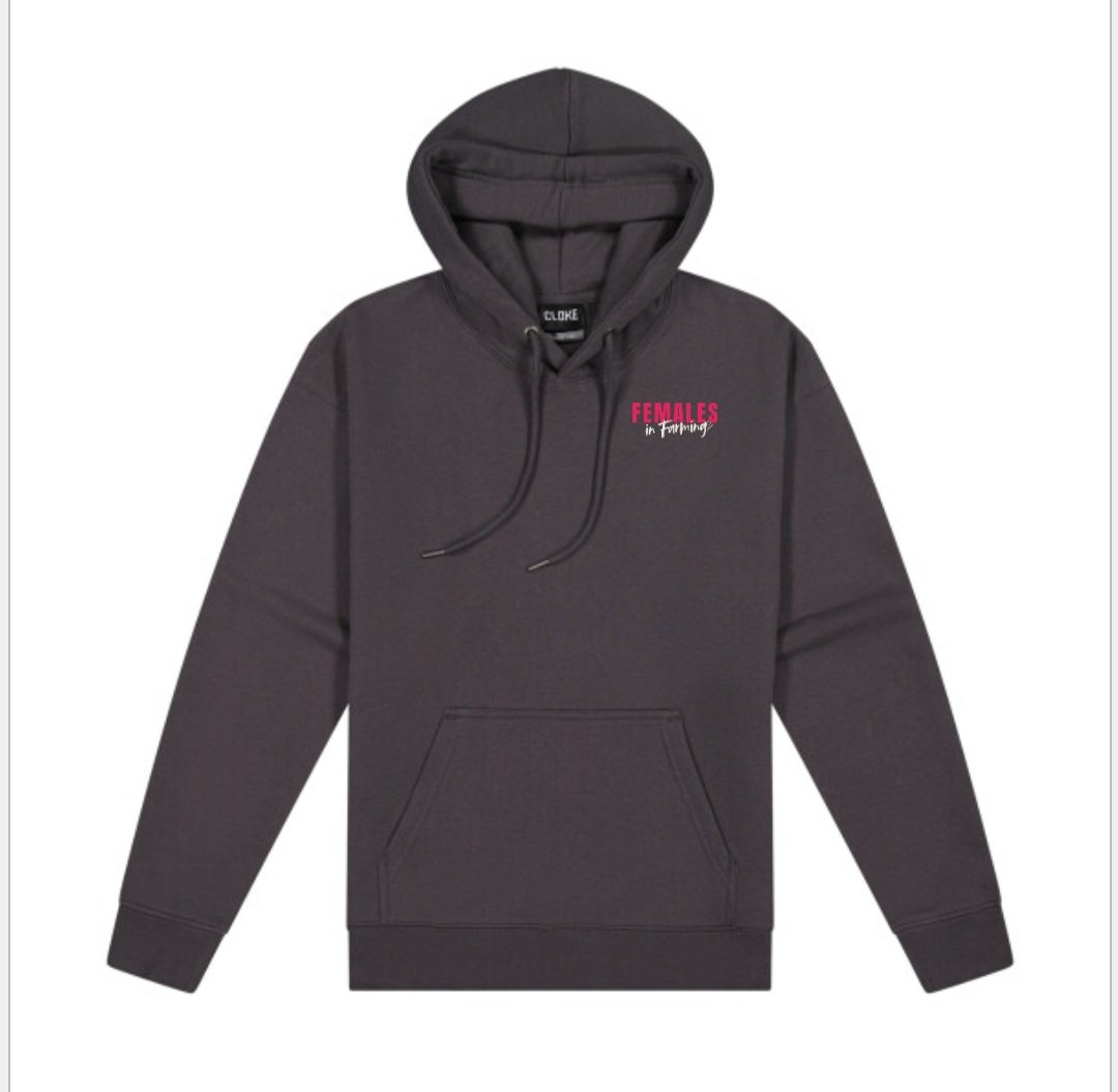 Hoodies - Front New Logo Grey.jpg