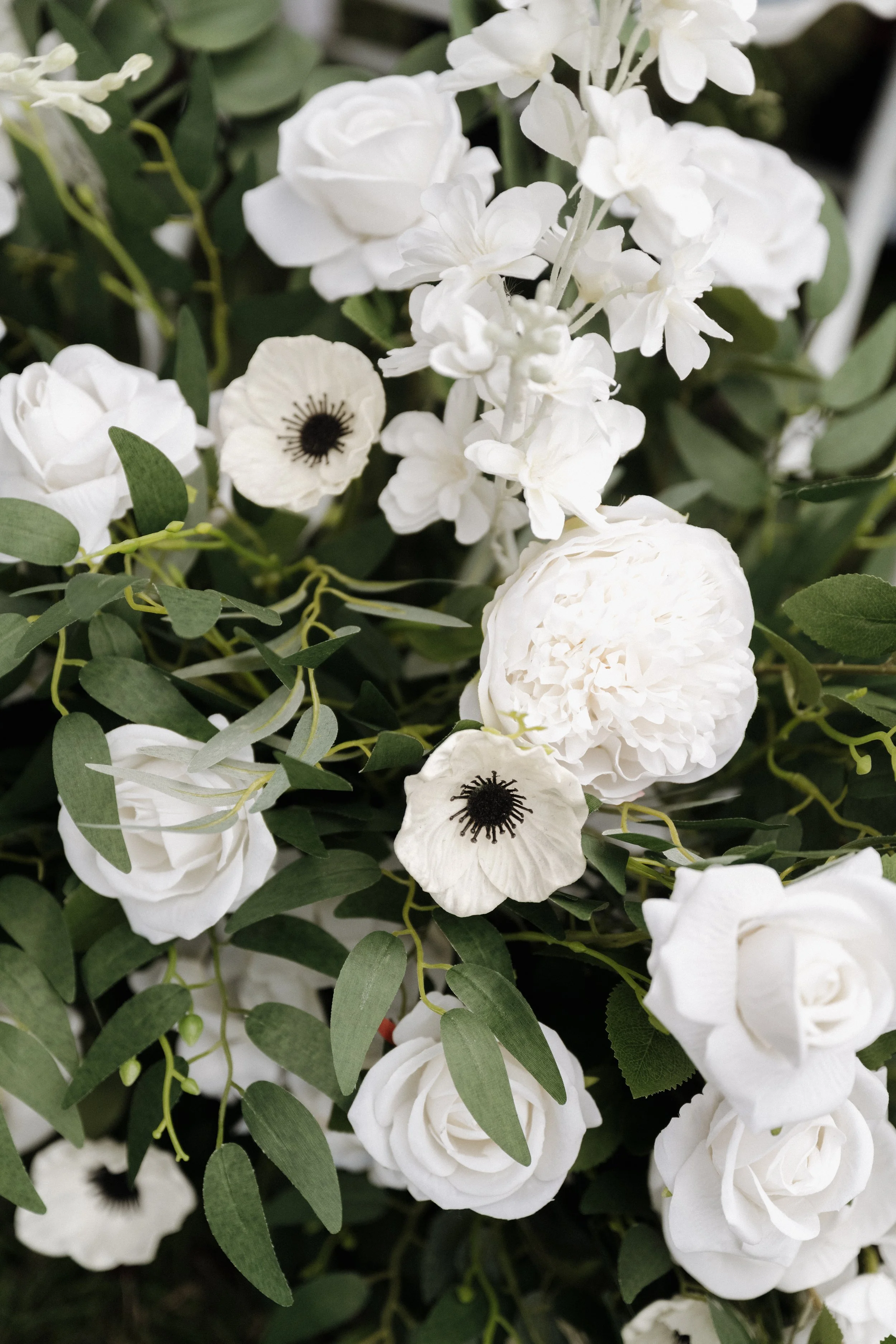 Close-up of white flowers with dark centers and green leaves.