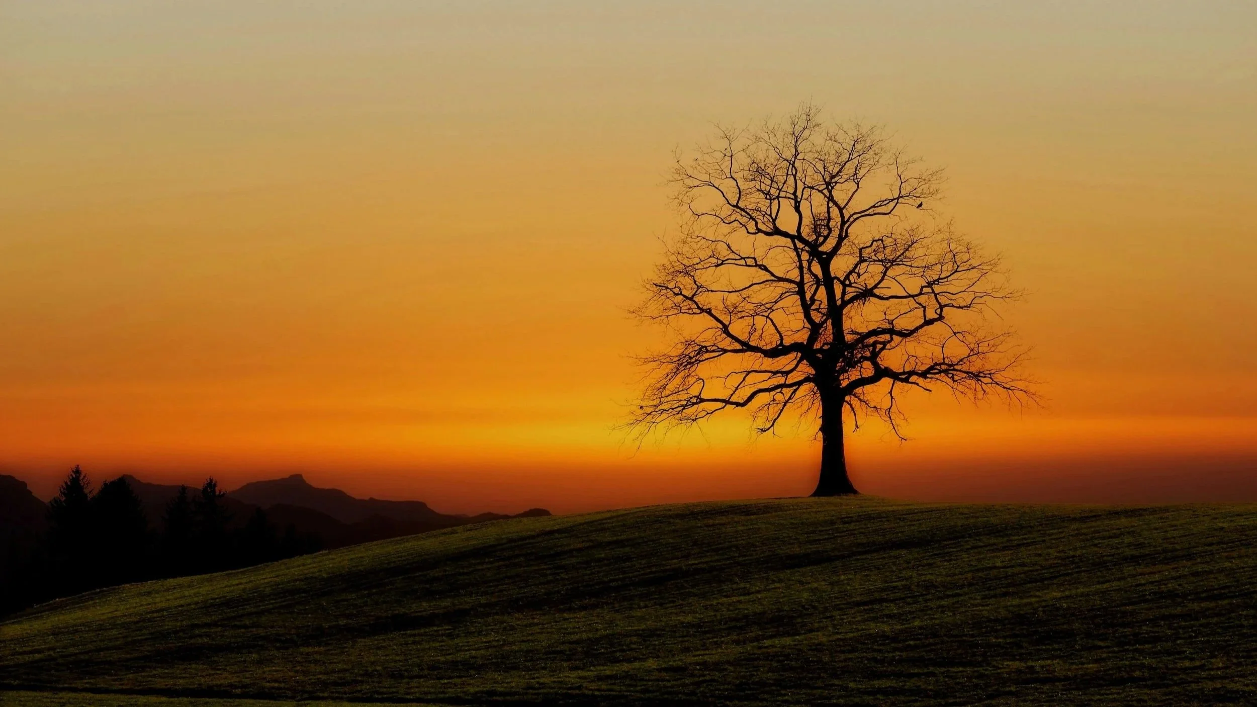 Why Insight Alone Doesn’t Heal Trauma.