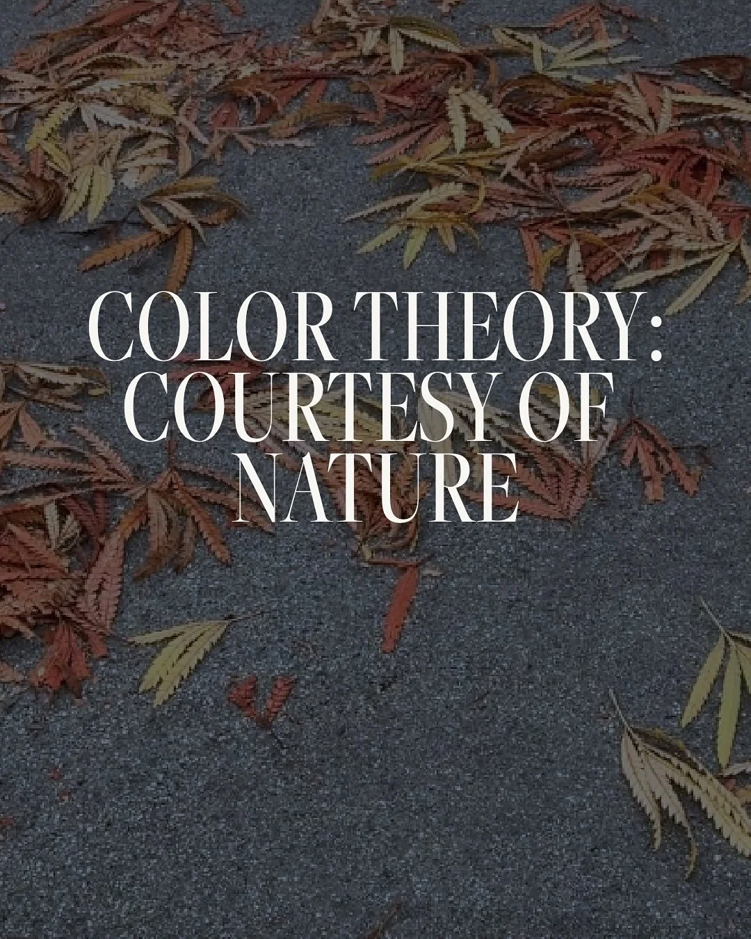 Nature has a way of pairing colors we&rsquo;d never dare put together&mdash;until we see them. A single tree in Northern California stopped me in my tracks with its purples, greens, whites, fiery oranges, and golden yellows. I brought the palette hom