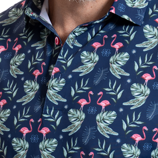 FlamingoCloseup.png
