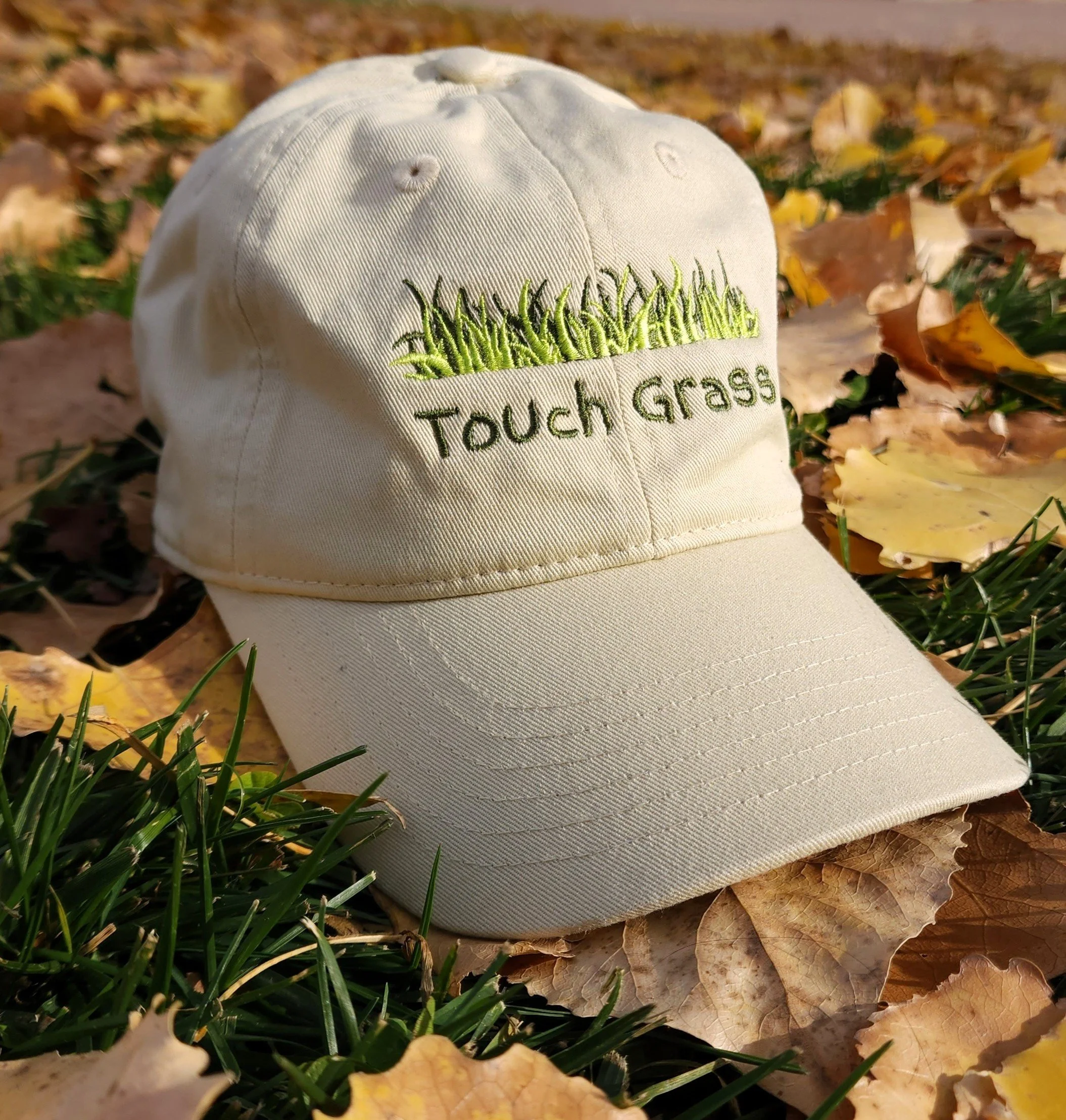Touch Grass Cap
