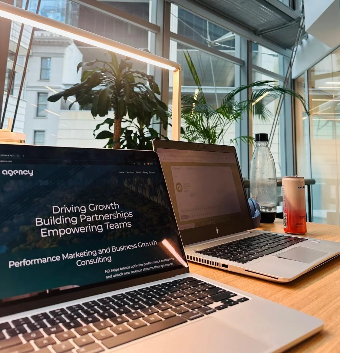 Work desk with two open laptops, a water bottle, a red drink, plants, and large windows in the background.