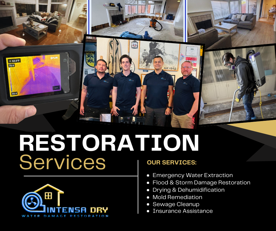 Collage of images showing water damage restoration services: a living room with furniture, a room with construction tools, a clean living space, a team of workers, and a worker with equipment. Text overlay with services offered by Intensa Dry.