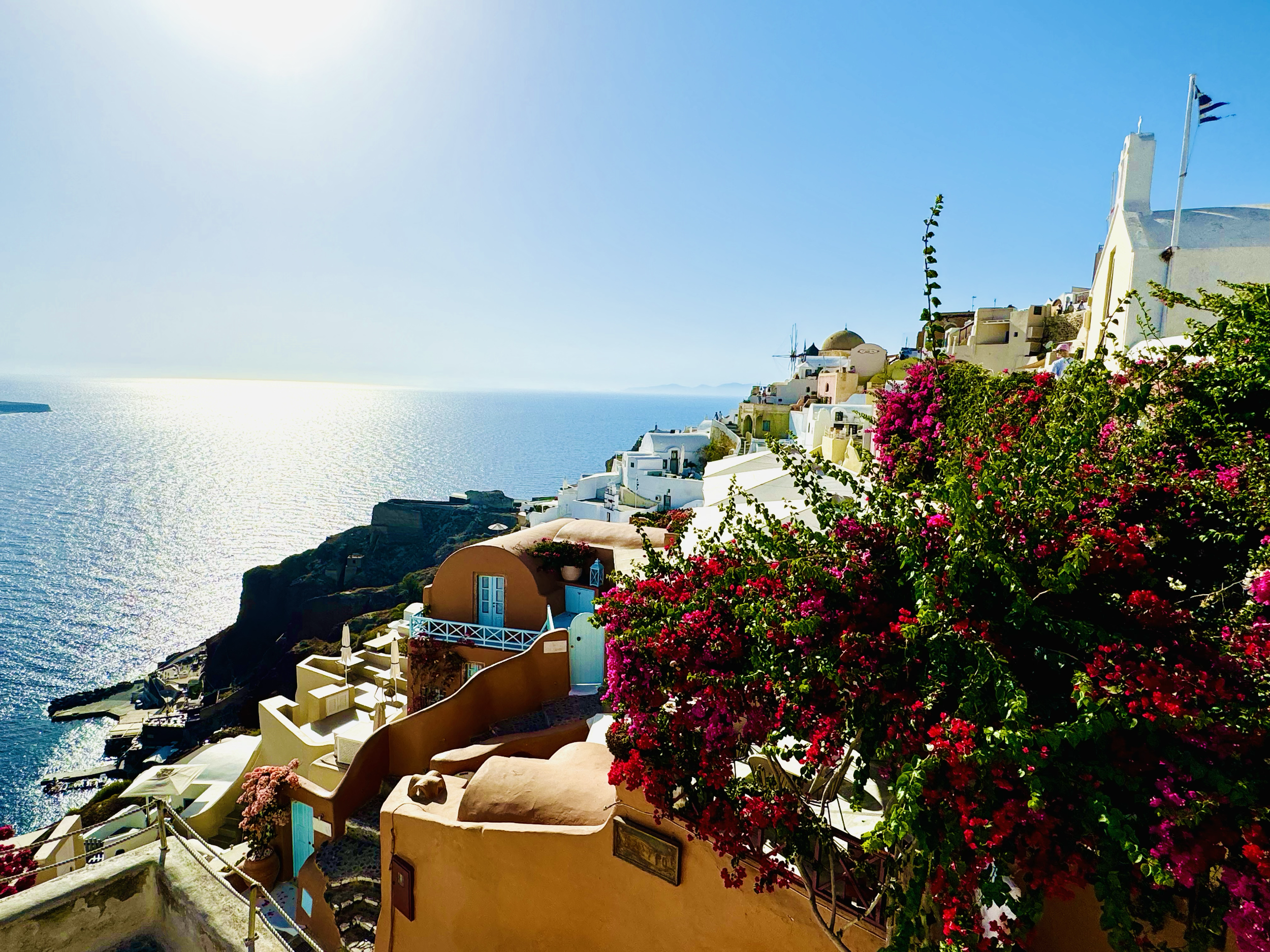 Colorful houses and buildings on a cliffside overlooking the ocean under a clear blue sky, with blooming pink and red flowers in the foreground.