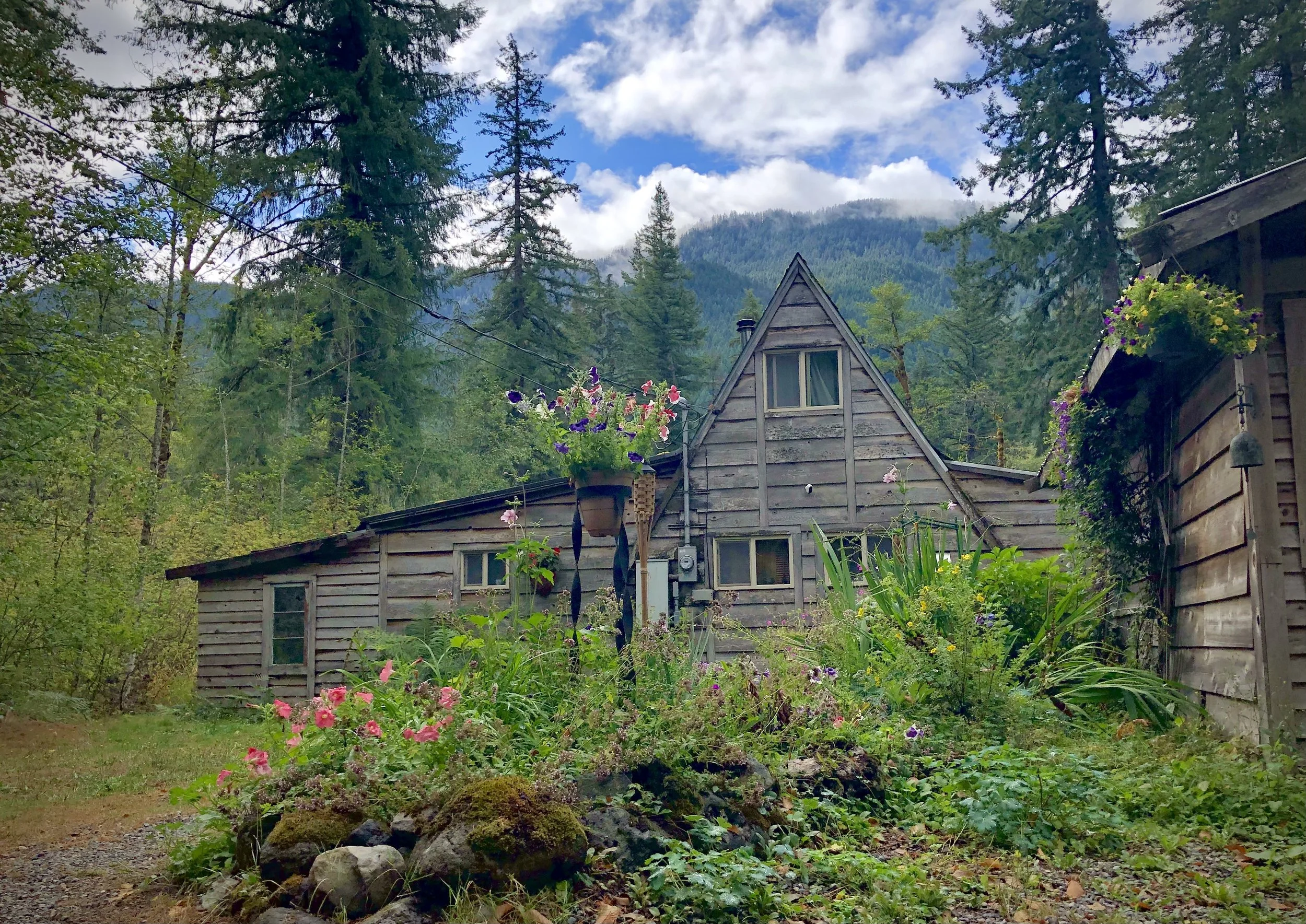 An image of The Cabin on Big Creek