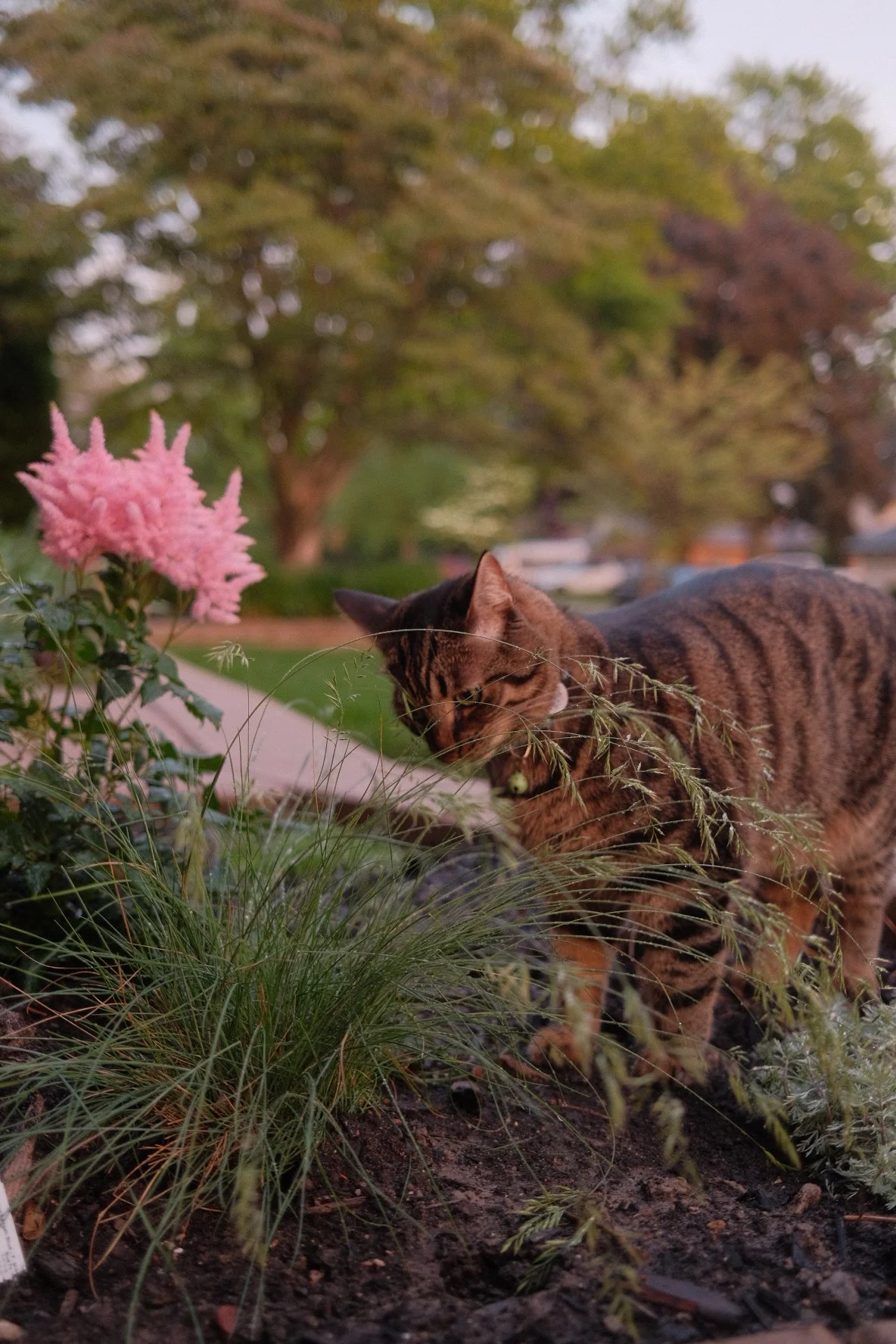 DSCF2747.JPG