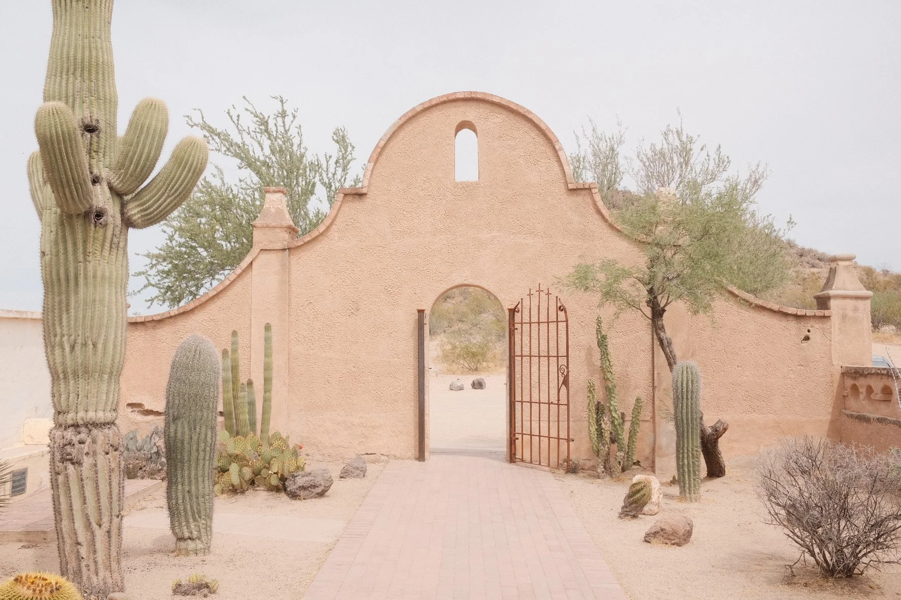 A desert scene with a beige stucco wall featuring an arched top, a narrow window, and a gate opening to a sandy area with desert plants. Tall cacti and sparse bushes are in the foreground, with a desert landscape and distant hills in the background.