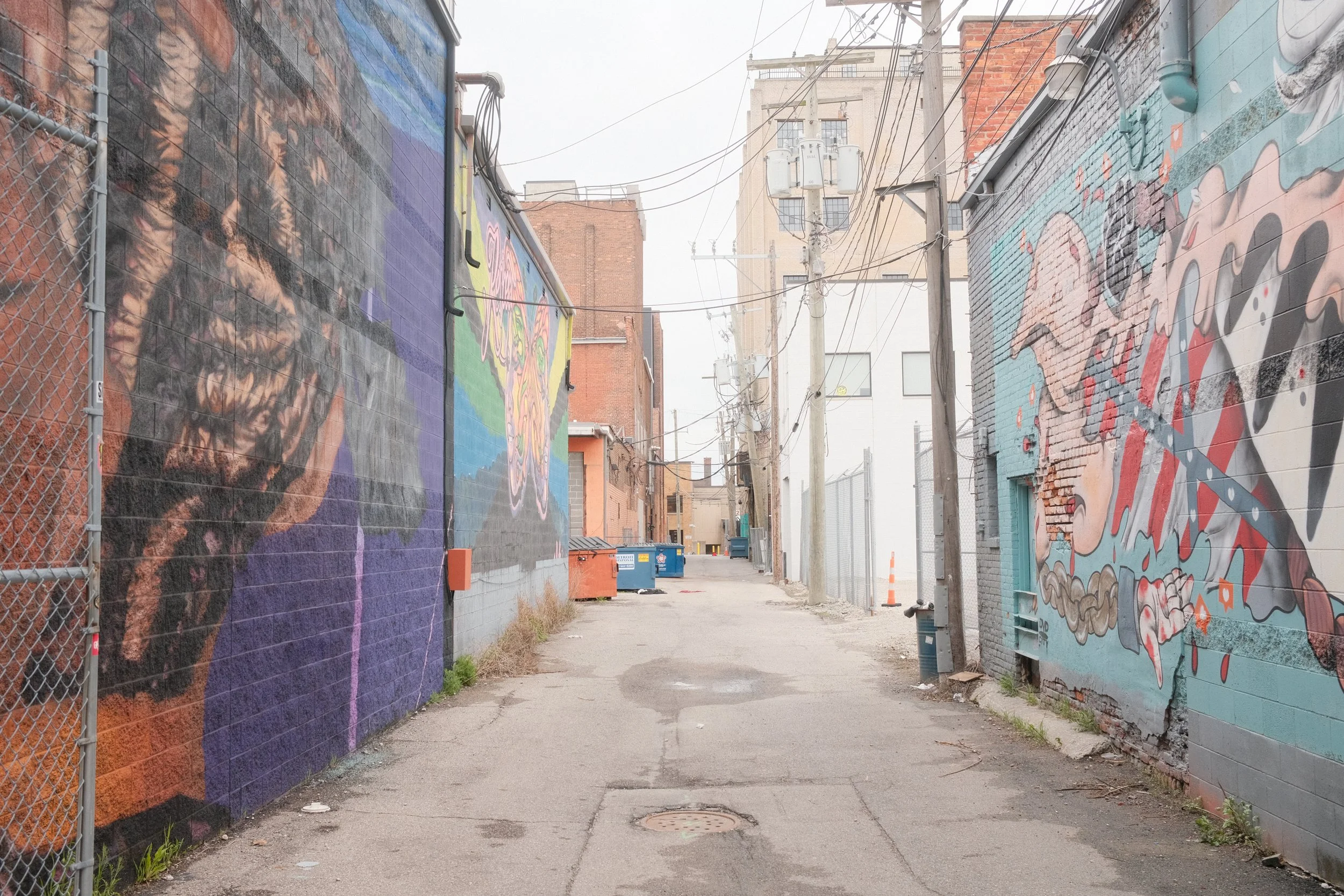 Back alley with colorful murals painted on brick walls on both sides, utility poles and wires overhead, asphalt ground with a manhole cover, and trash bins at the end.
