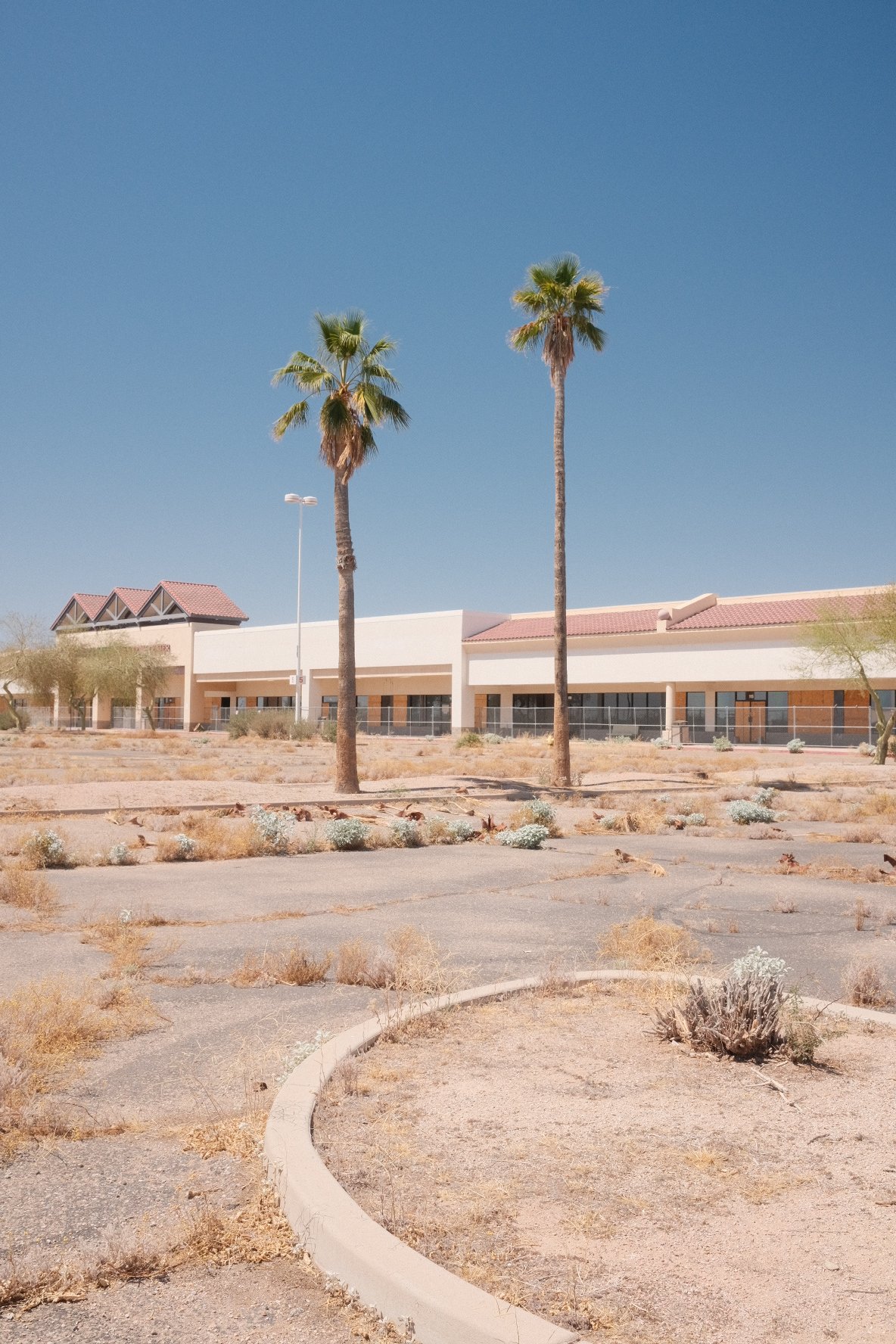 A desert area with sparse bushes, two tall palm trees, and a single-story building with a red-tiled roof, set against a clear blue sky.
