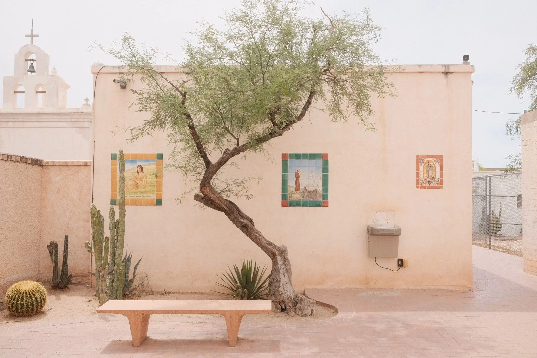 A courtyard with a leaning tree, desert plants, and cactus. Light-colored wall with colorful tiles and religious art. Bench in the foreground, small fountain near the wall. Bell tower and building rooftop in the background.