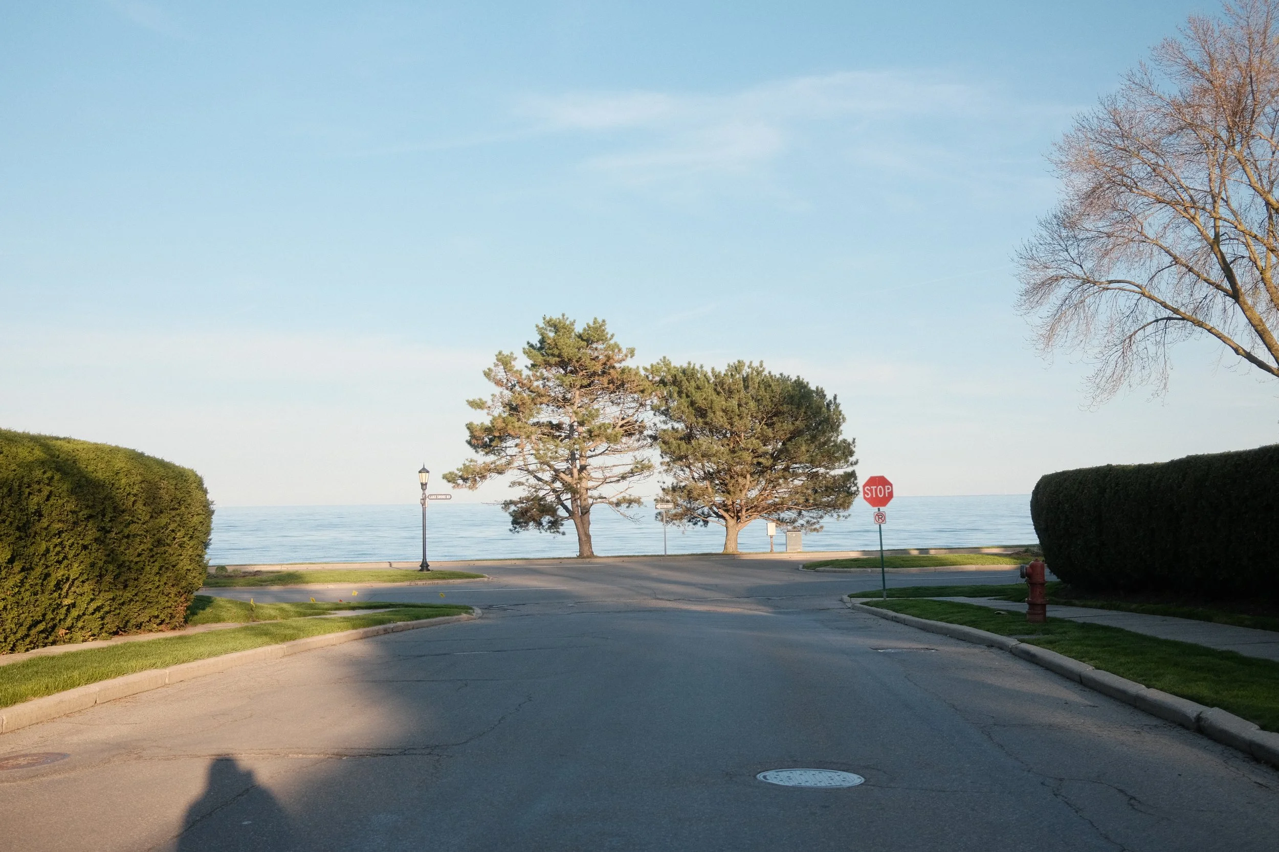 A shoreline view with calm water in the background, featuring two trees, one with no leaves and the other with green foliage, along with a lamp post and a stop sign.