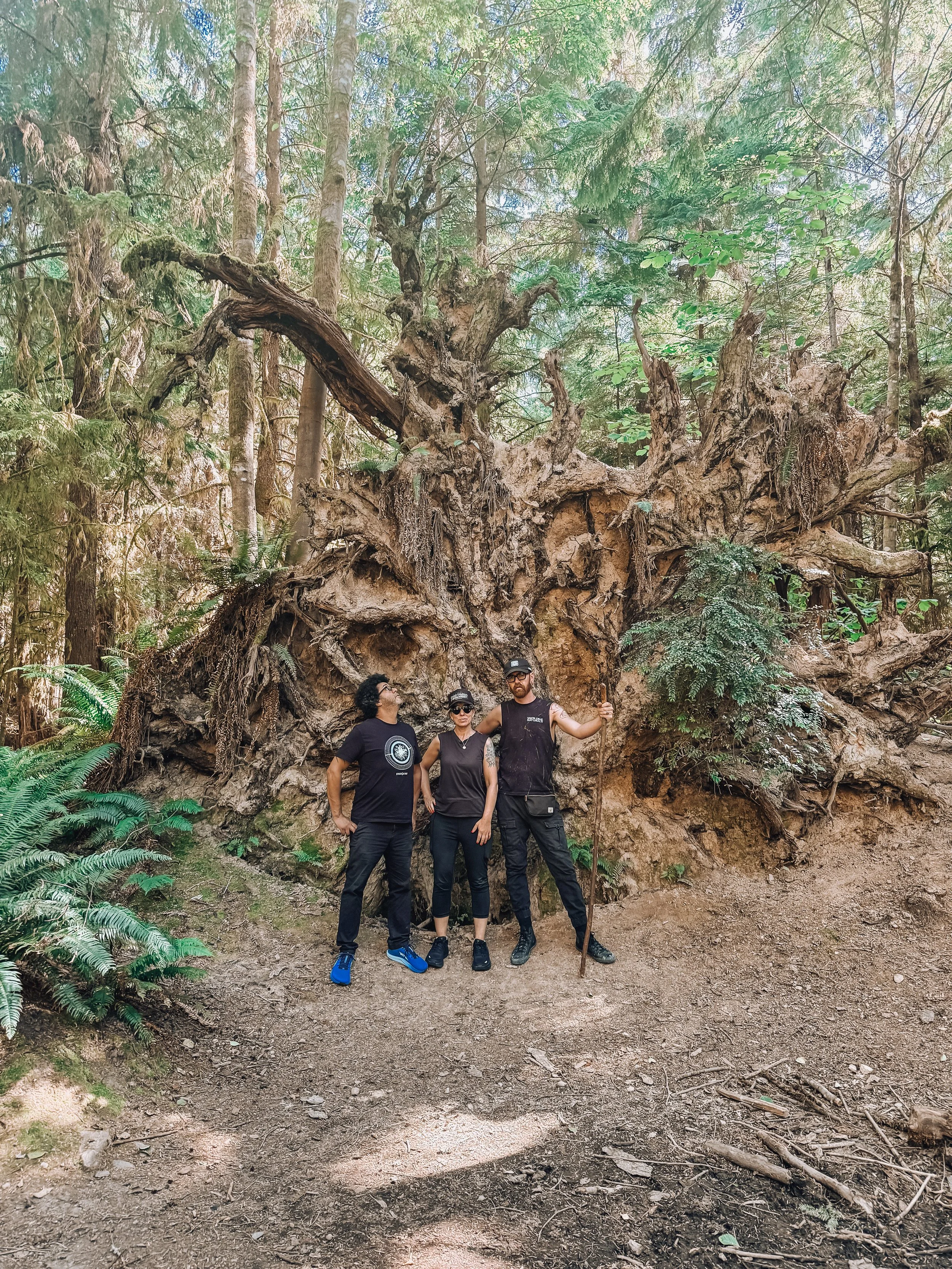 Days off are for hikes through a PNW forest. Photo by Charlotte Burns.