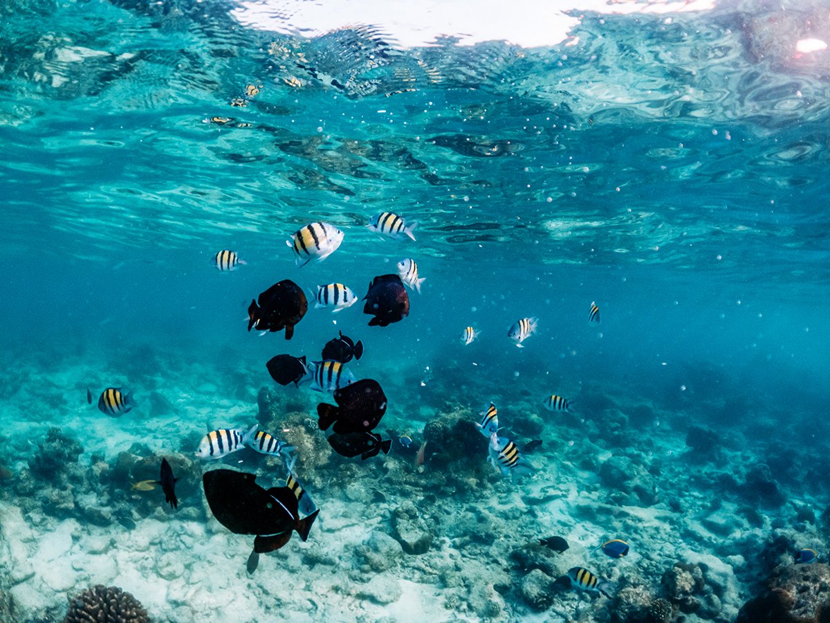 Experiences-Concierge-Tulum-Habitax.jpg