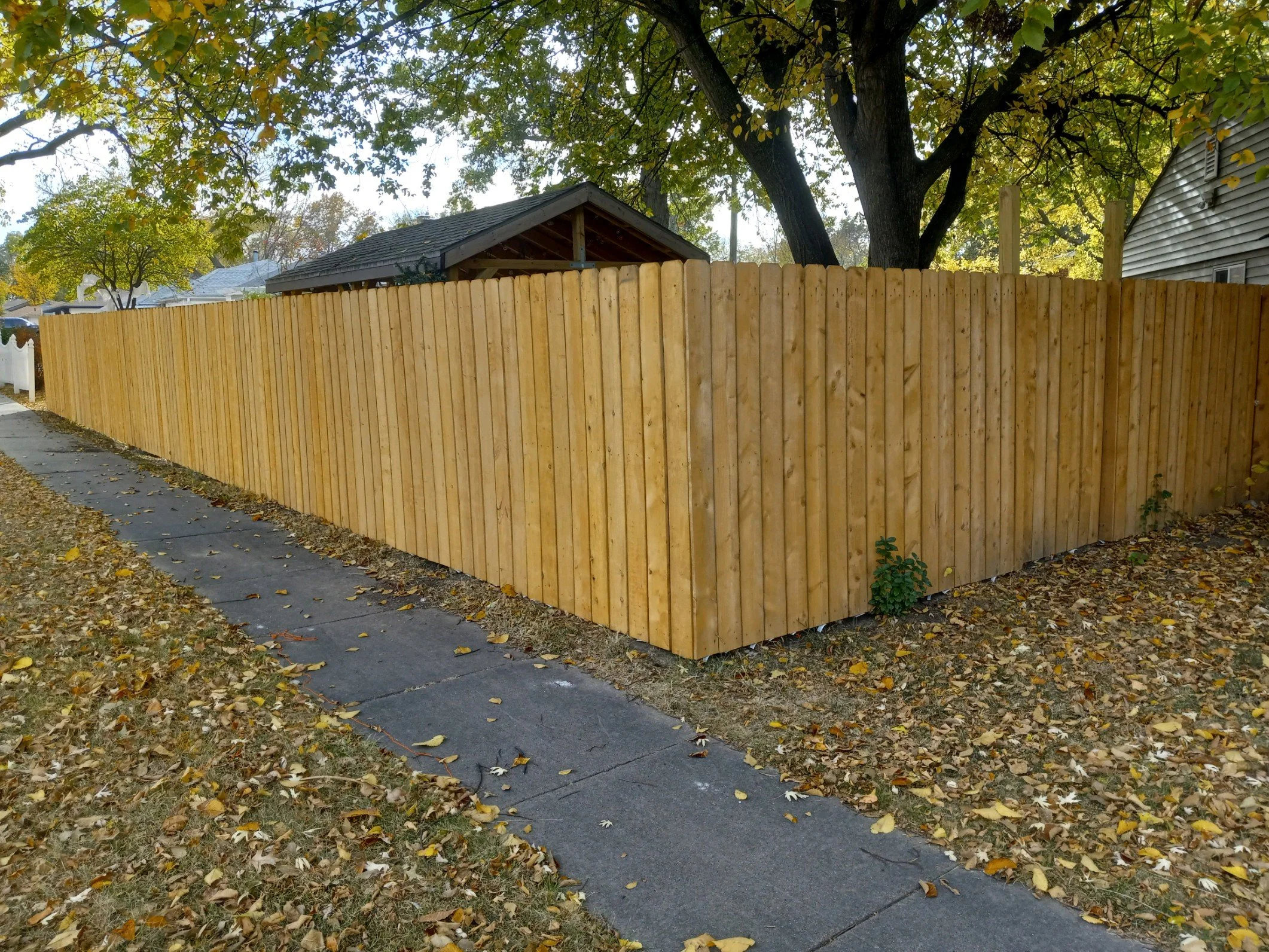 Wooden privacy fence along a sidewalk with autumn leaves on the ground, tree and house in the background.